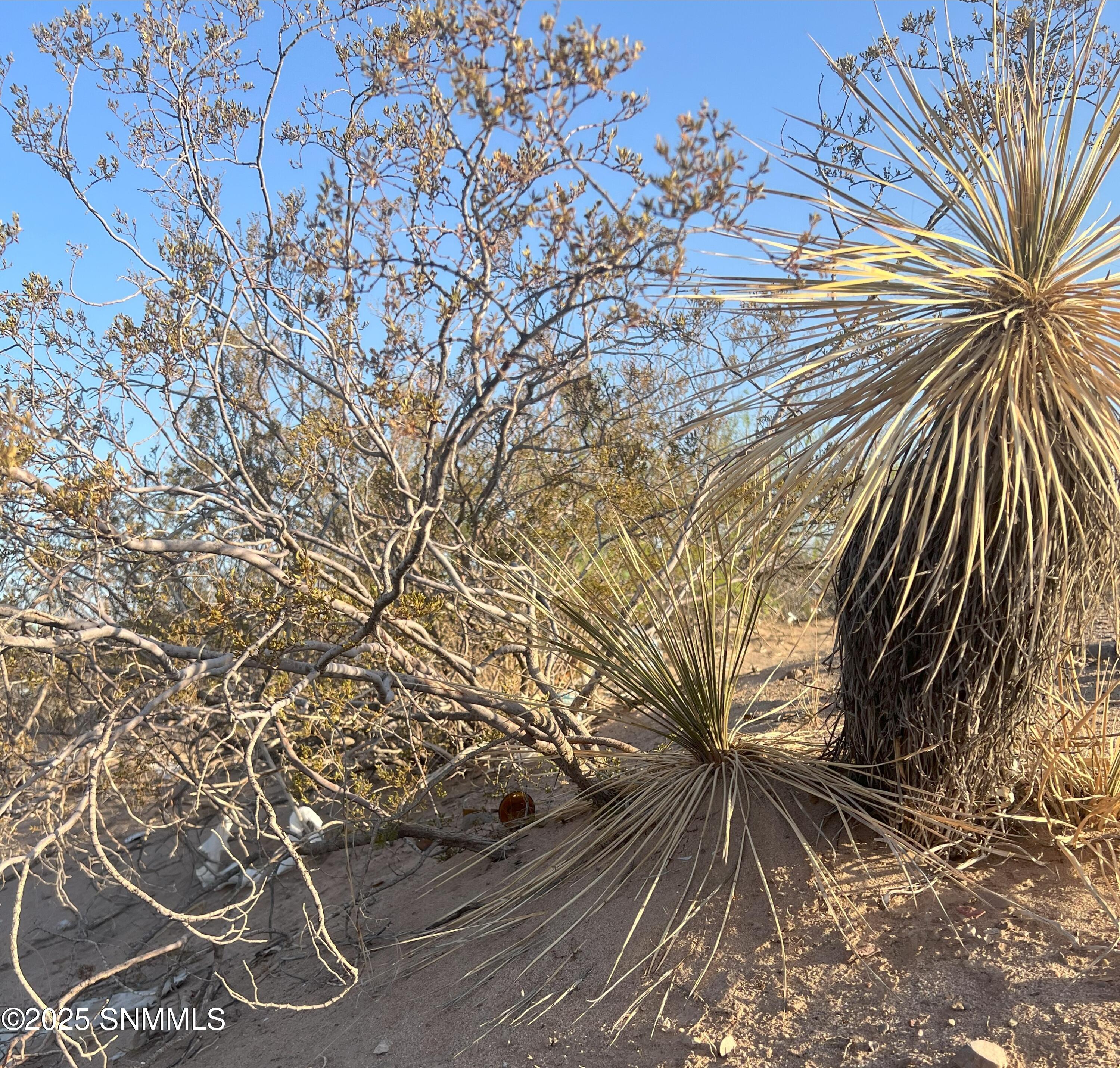 TBD Enchantment Drive, Chaparral, New Mexico image 7