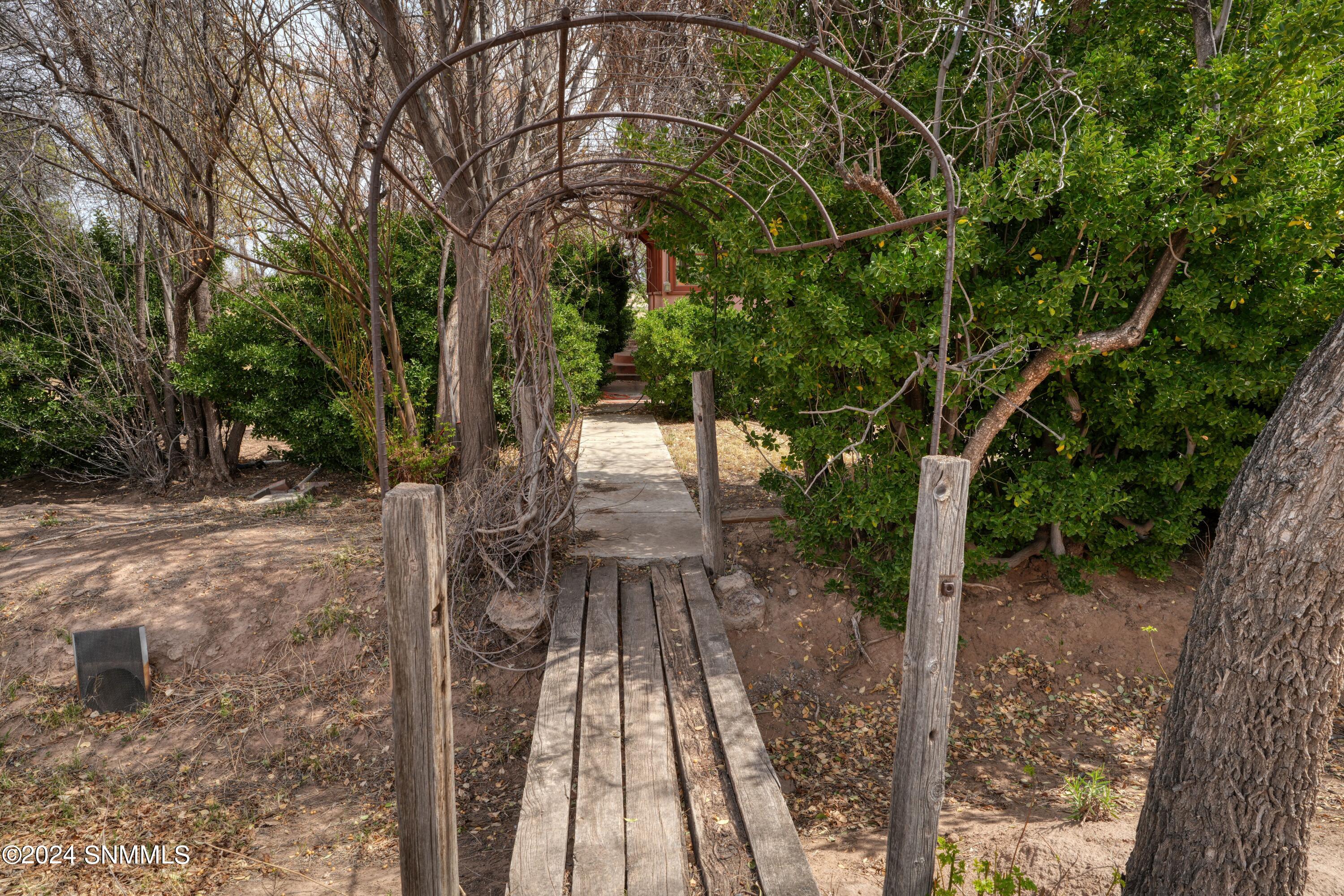 2090 Snow Road, Mesilla, New Mexico image 10