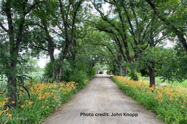 2090 Snow Road, Mesilla, New Mexico image 50