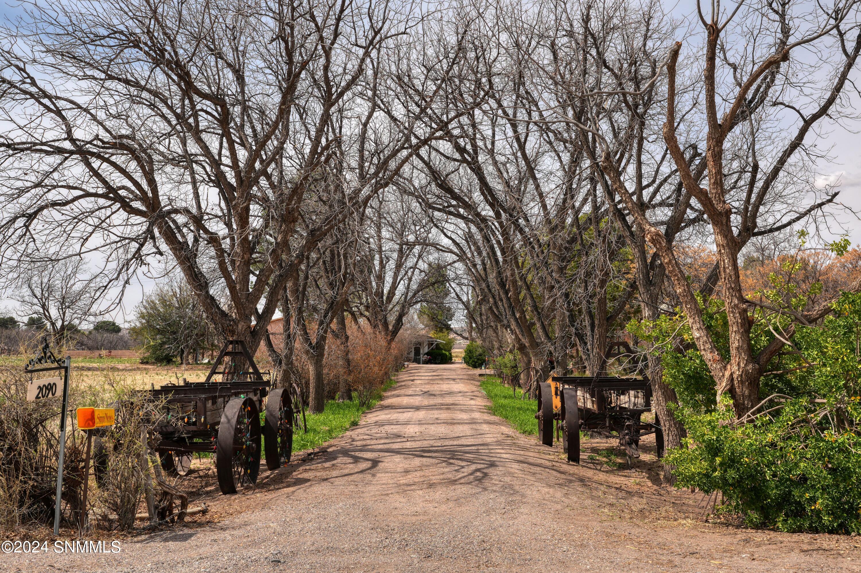 2090 Snow Road, Mesilla, New Mexico image 2