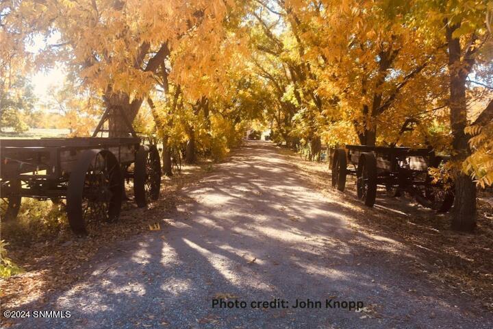 2090 Snow Road, Mesilla, New Mexico image 48