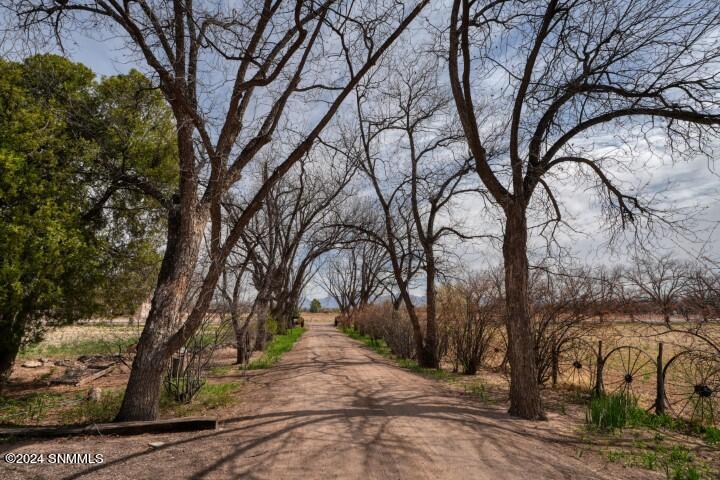 2090 Snow Road, Mesilla, New Mexico image 46