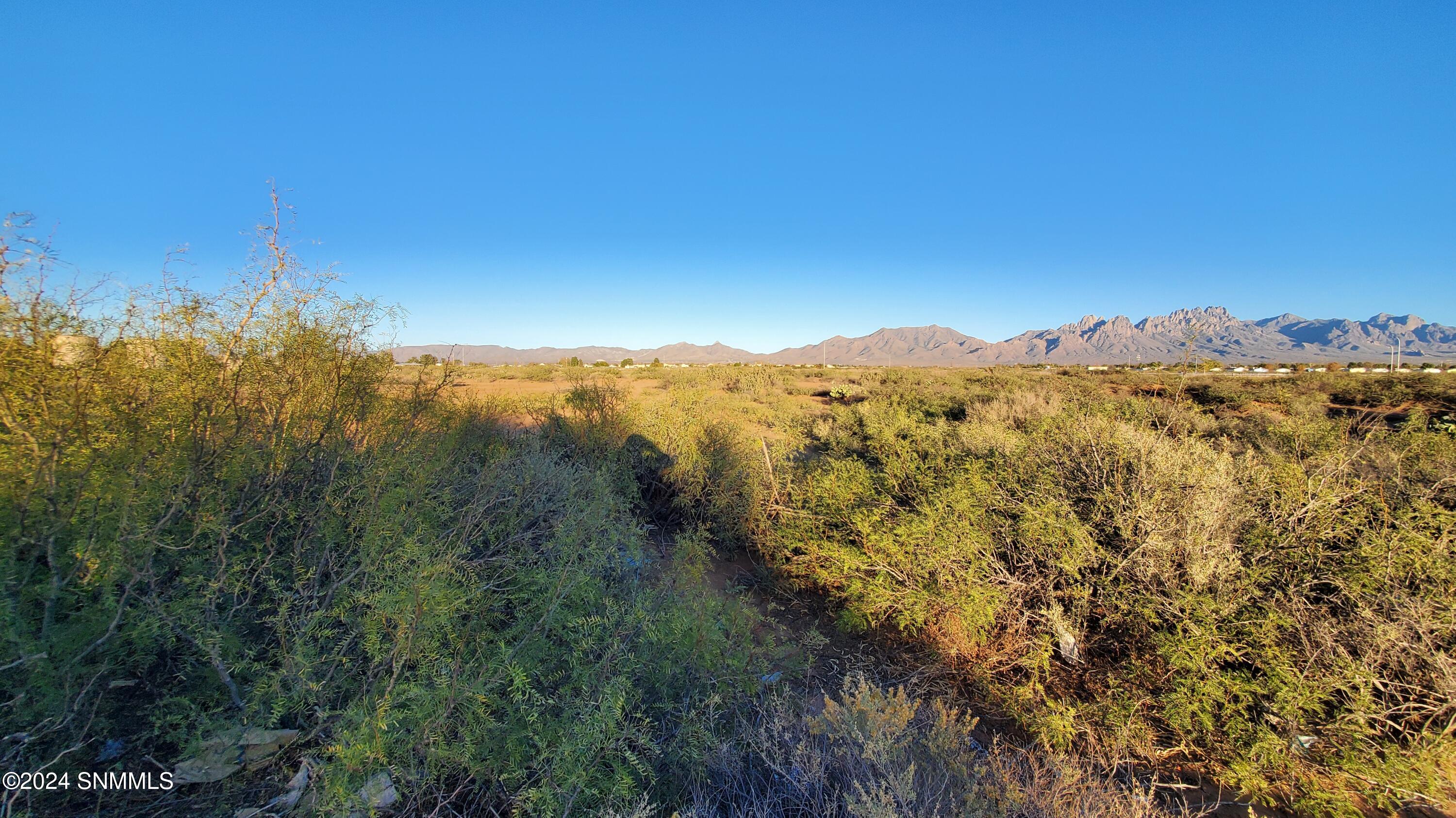 5664 Mesa Drive, Las Cruces, New Mexico image 18