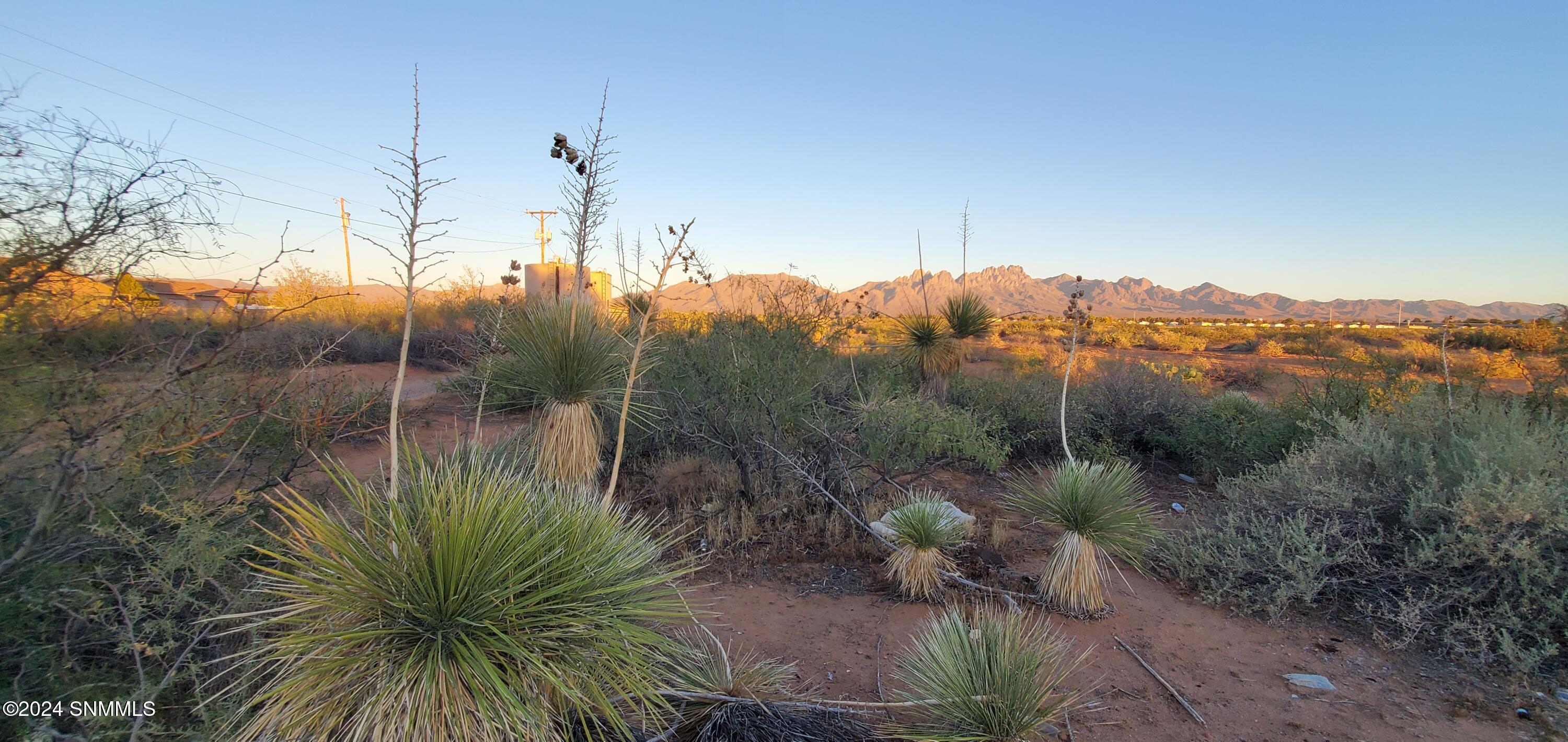 5664 Mesa Drive, Las Cruces, New Mexico image 47