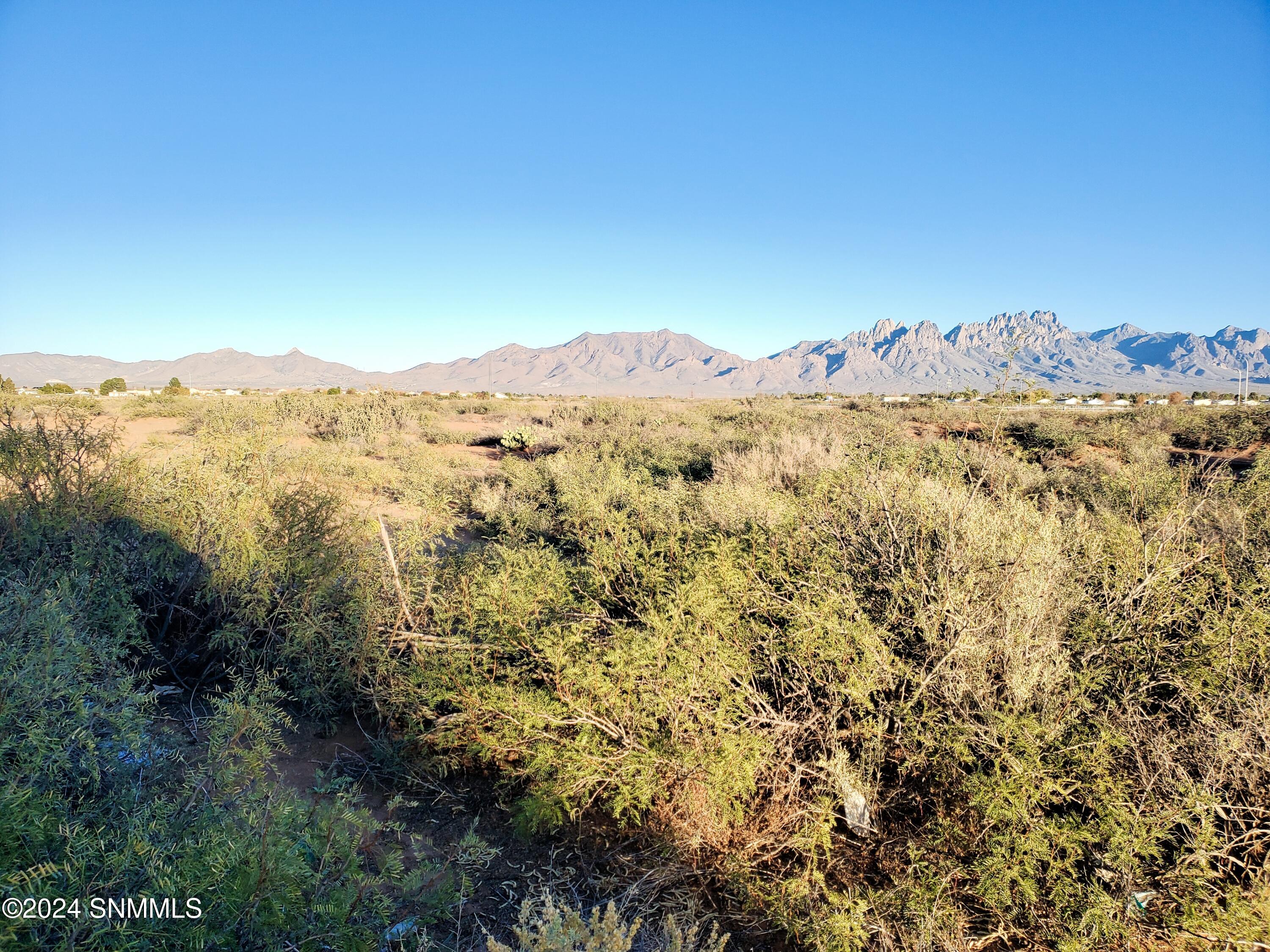 5664 Mesa Drive, Las Cruces, New Mexico image 22