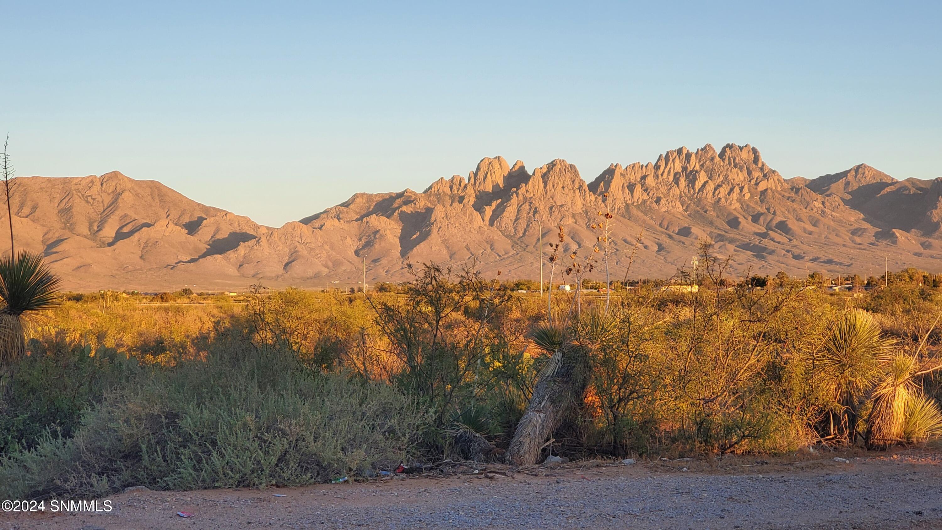 5664 Mesa Drive, Las Cruces, New Mexico image 40