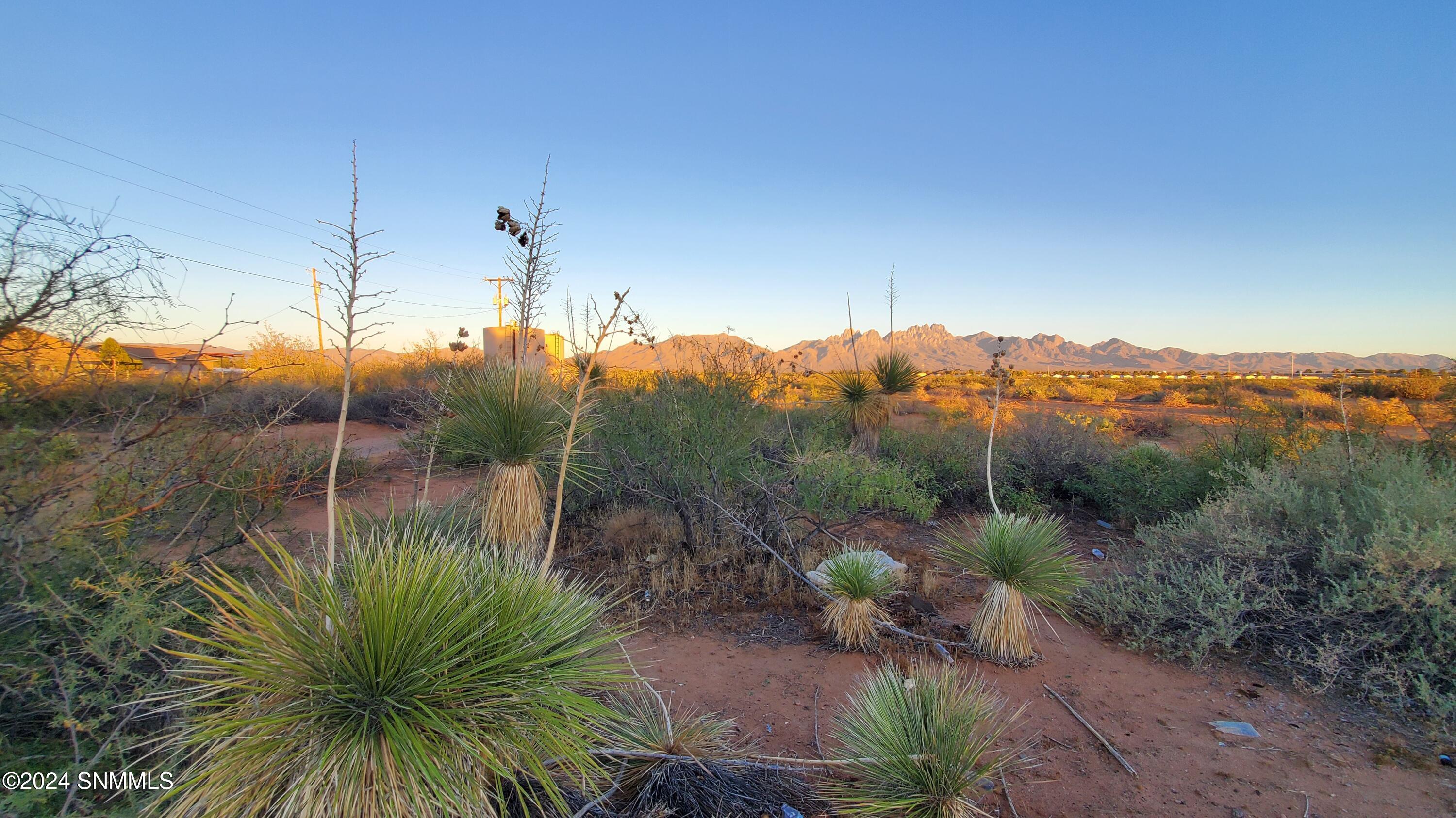 5664 Mesa Drive, Las Cruces, New Mexico image 46