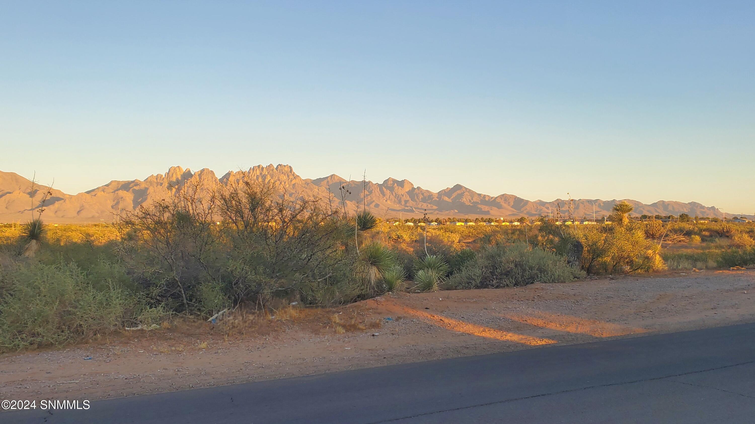 5664 Mesa Drive, Las Cruces, New Mexico image 43