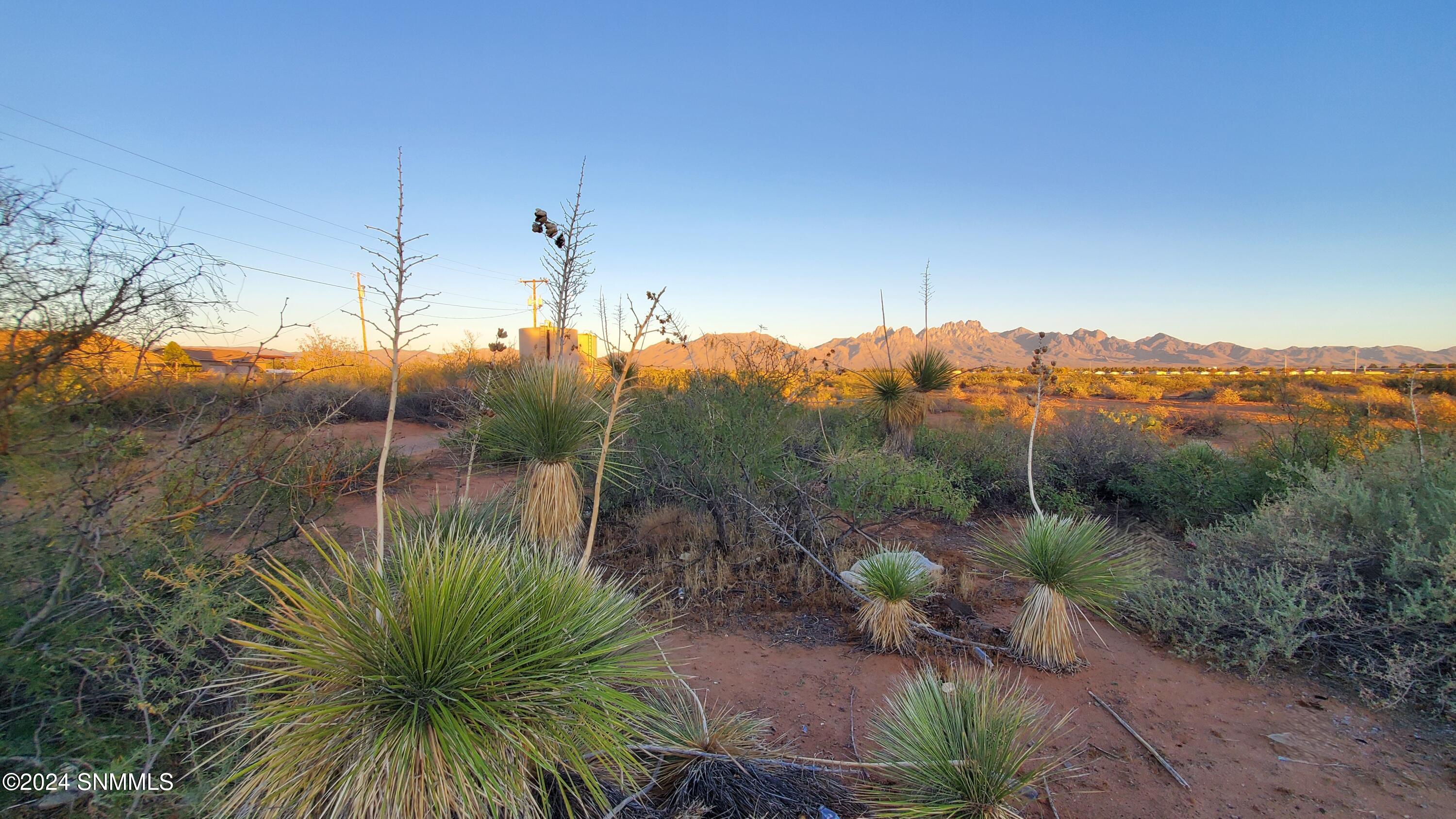 5664 Mesa Drive, Las Cruces, New Mexico image 45