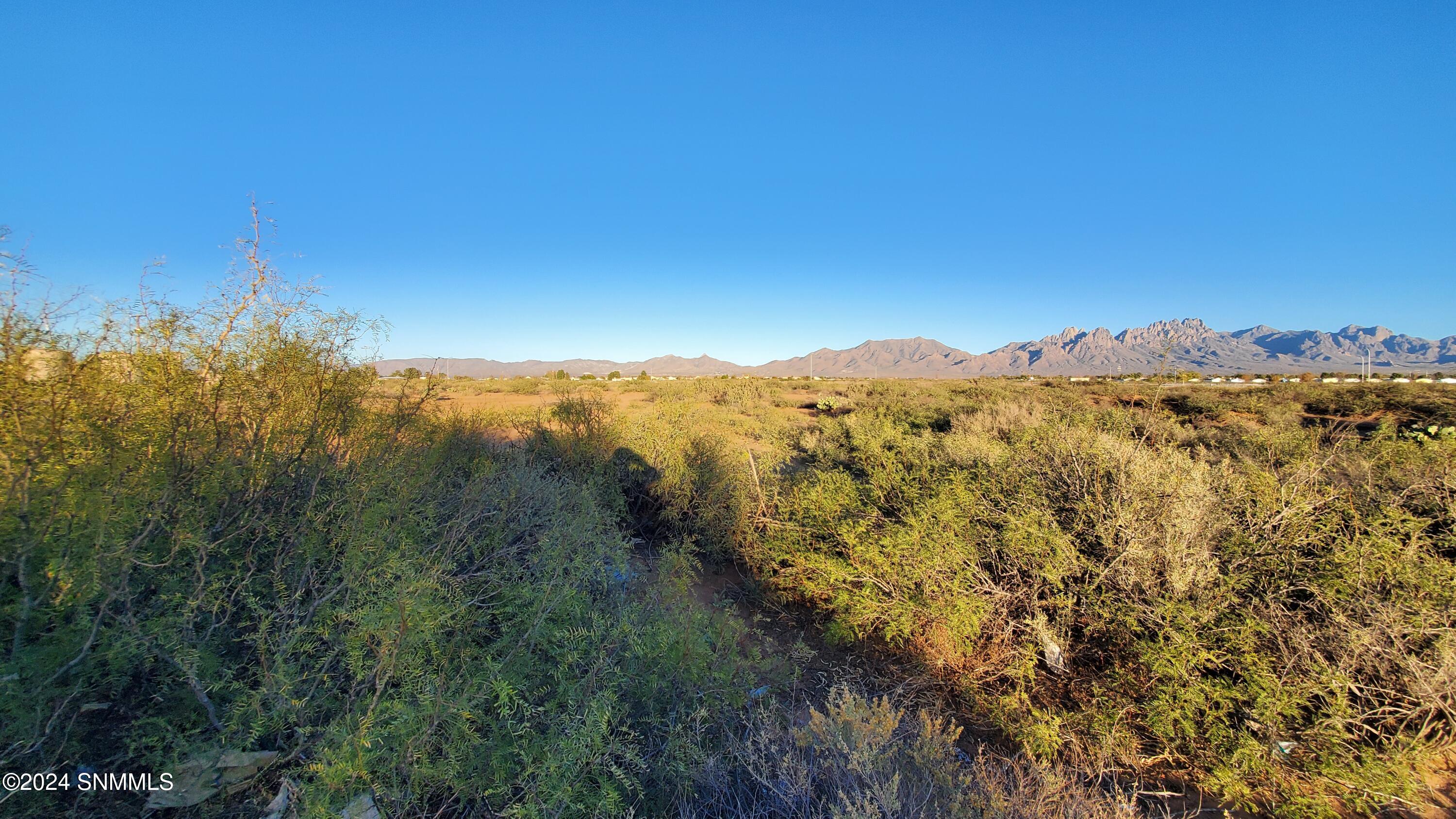 5664 Mesa Drive, Las Cruces, New Mexico image 17