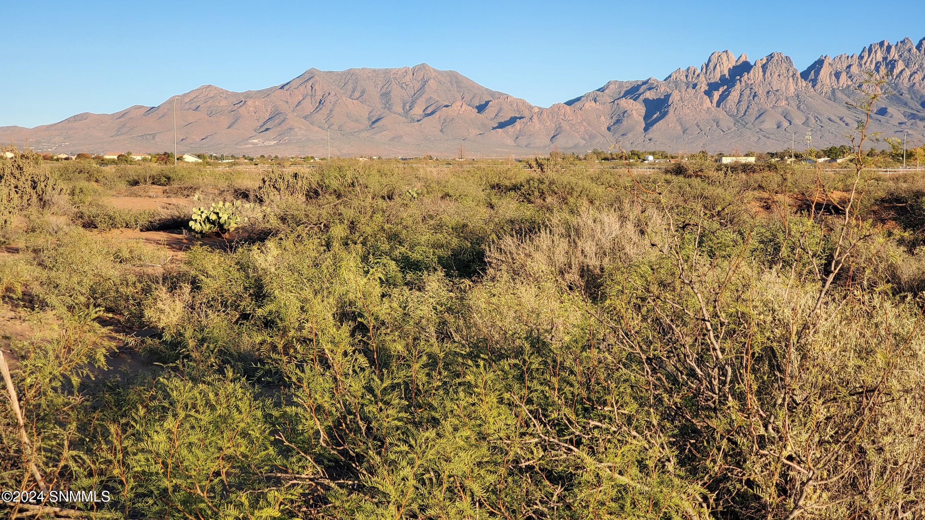 5664 Mesa Drive, Las Cruces, New Mexico image 21