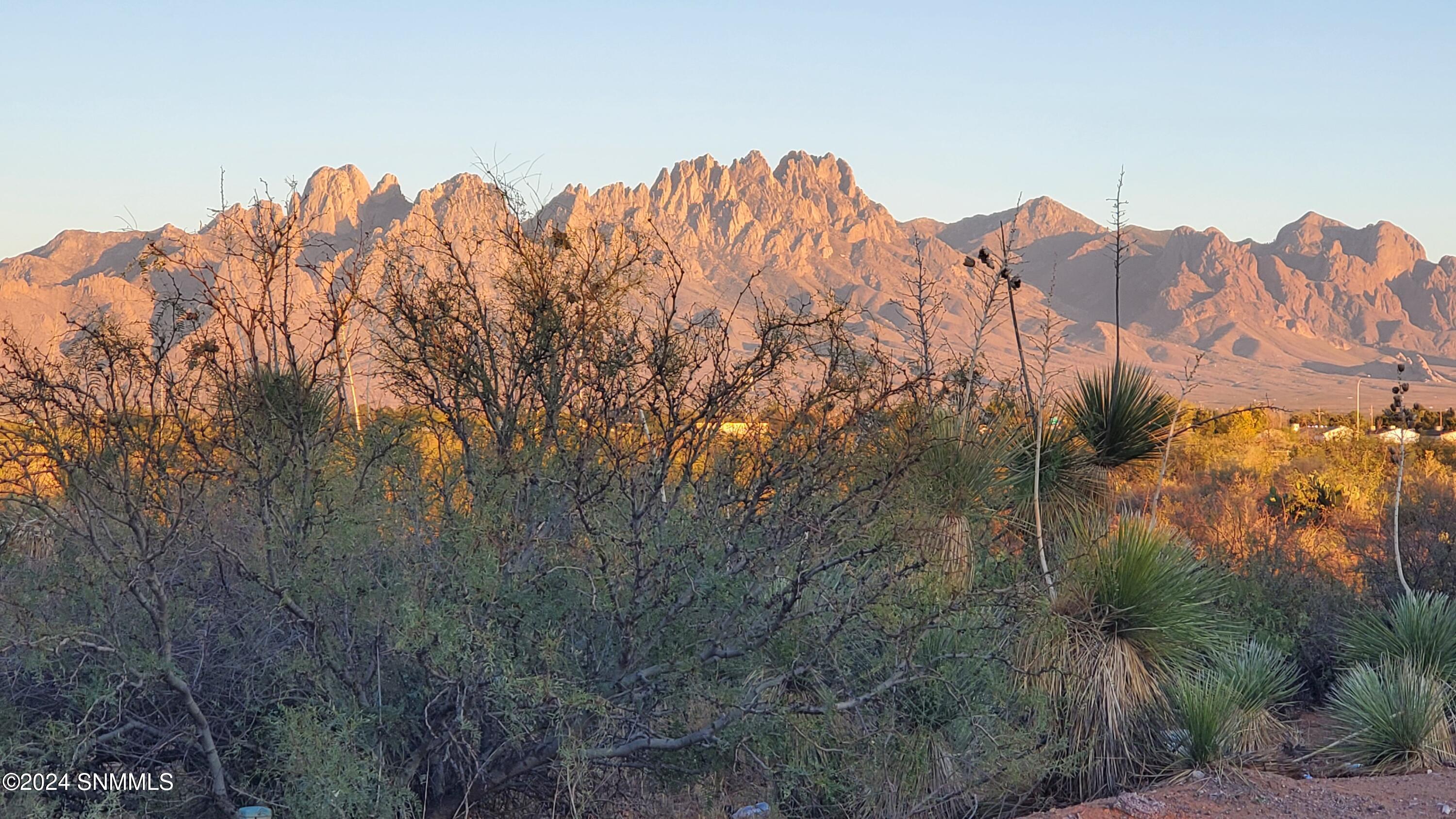 5664 Mesa Drive, Las Cruces, New Mexico image 42