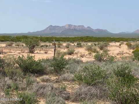 Vacant Land For Sale - 200 Outback Drive<br/> Dona Ana County, Las Cruces, NM 88012