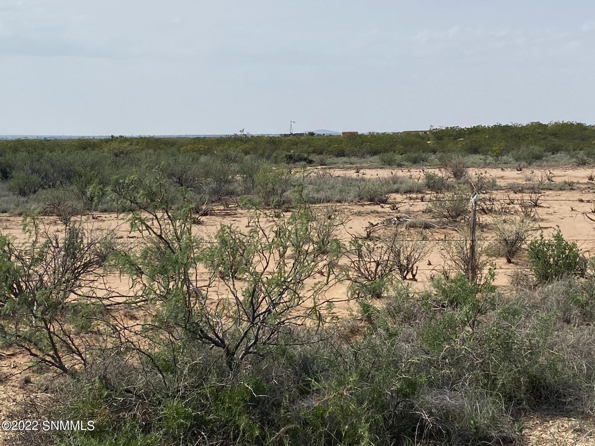 200 Outback Drive, Las Cruces, New Mexico image 3