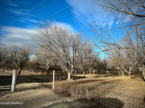 Vacant Land For Sale - TBA Highway 259<br/> Dona Ana County, Anthony, NM 88021
