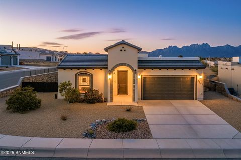 Homes For Sale - 3052 Kailei Lane<br/> Las Cruces, NM 88011