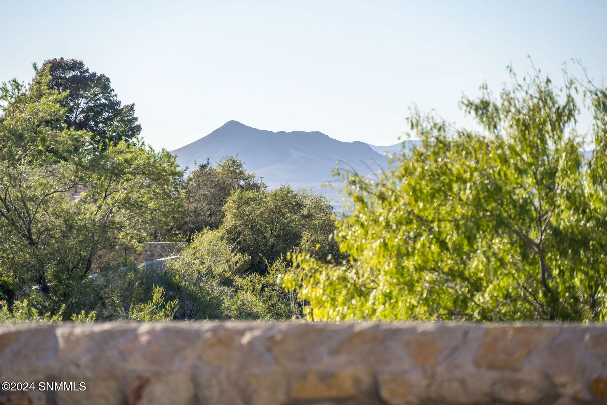 3041 Harmony Ridge Lane, Las Cruces, New Mexico image 48