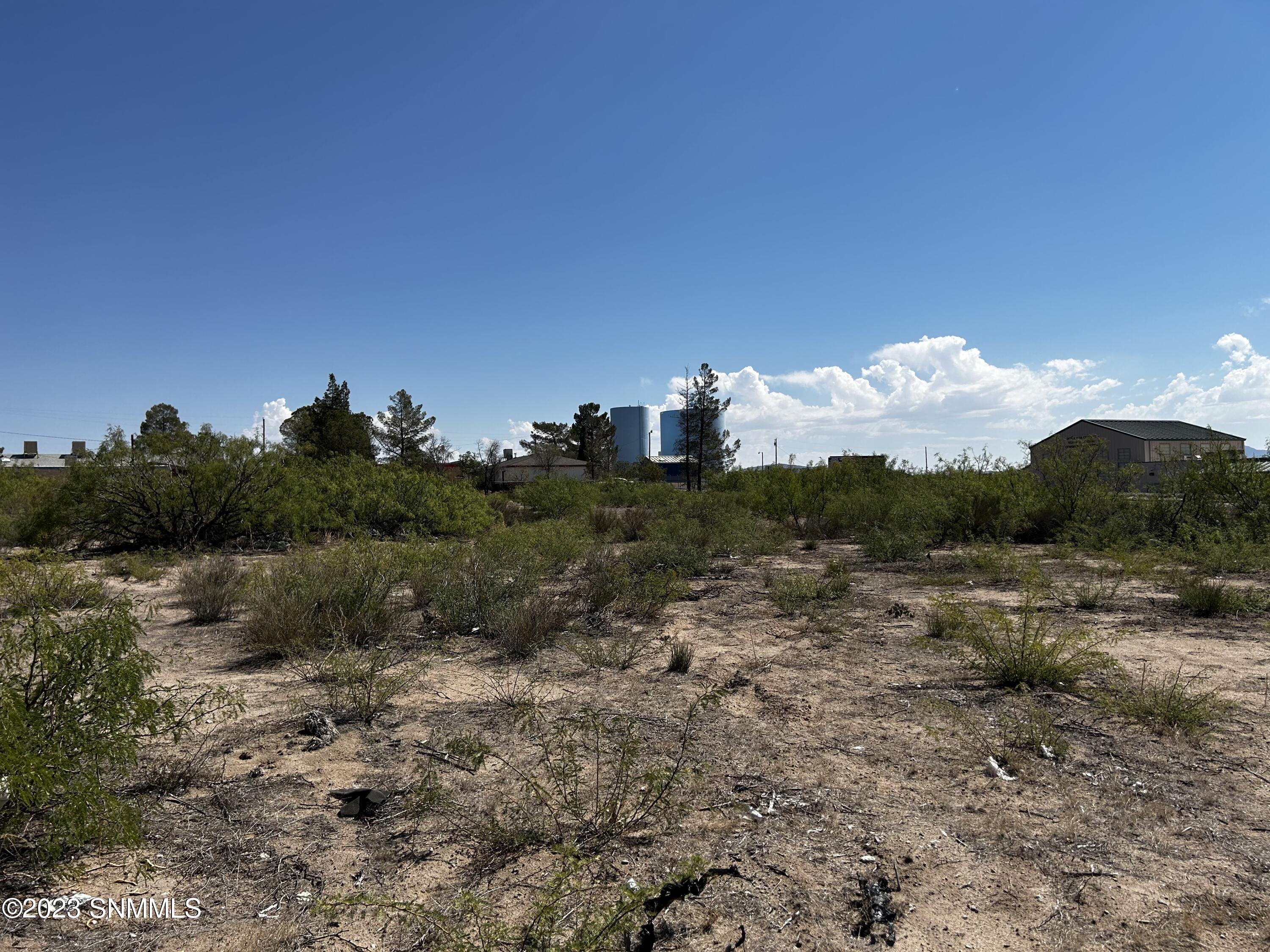 12 Paz Garcia Court, Mesquite, New Mexico image 4