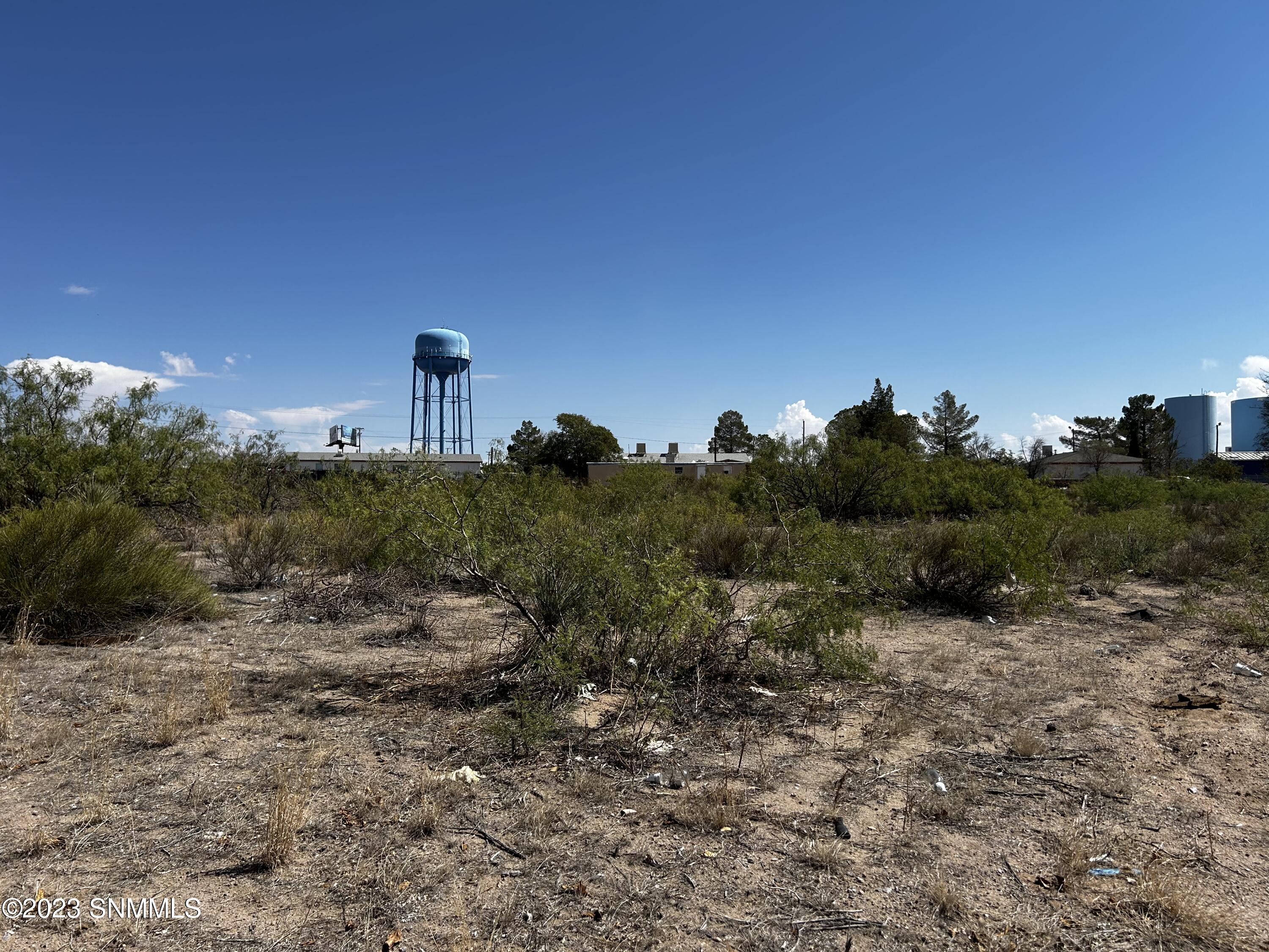 12 Paz Garcia Court, Mesquite, New Mexico image 5