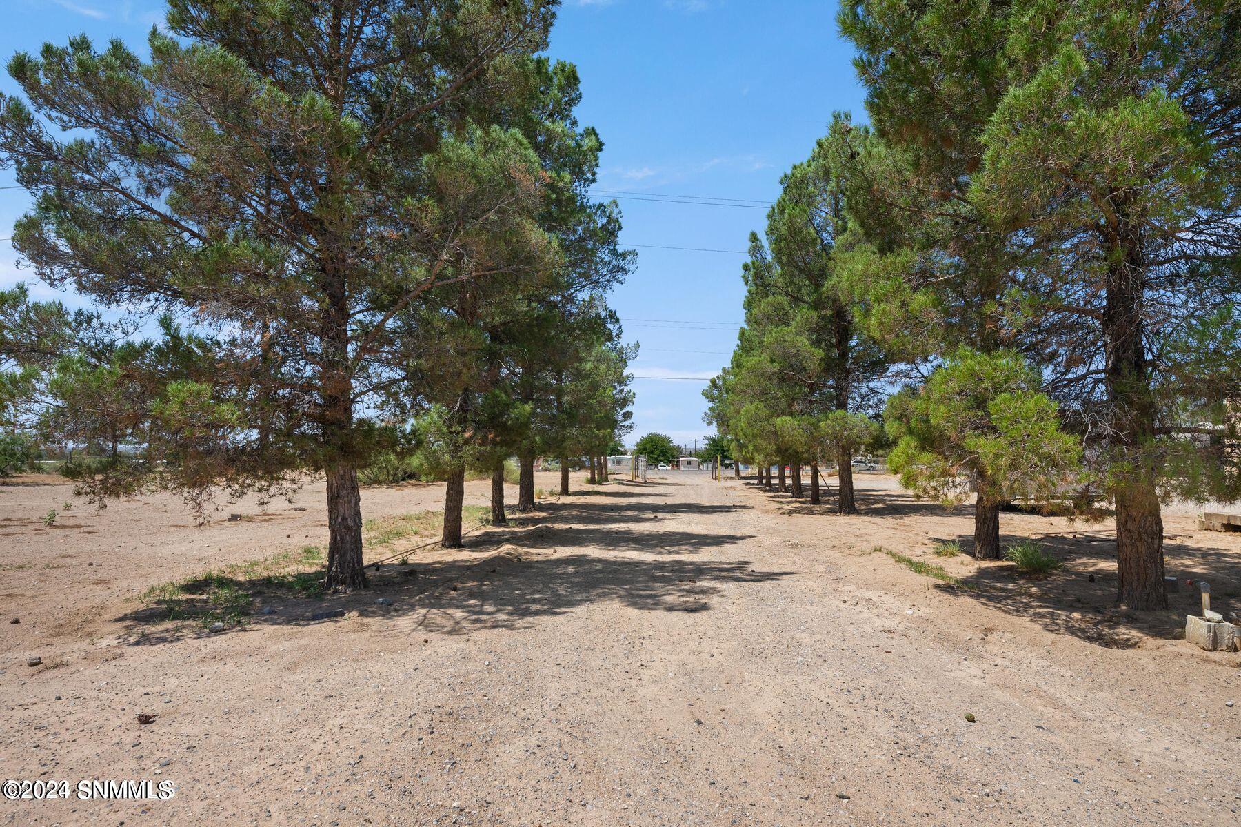 2750 Anthony Drive, Anthony, New Mexico image 47