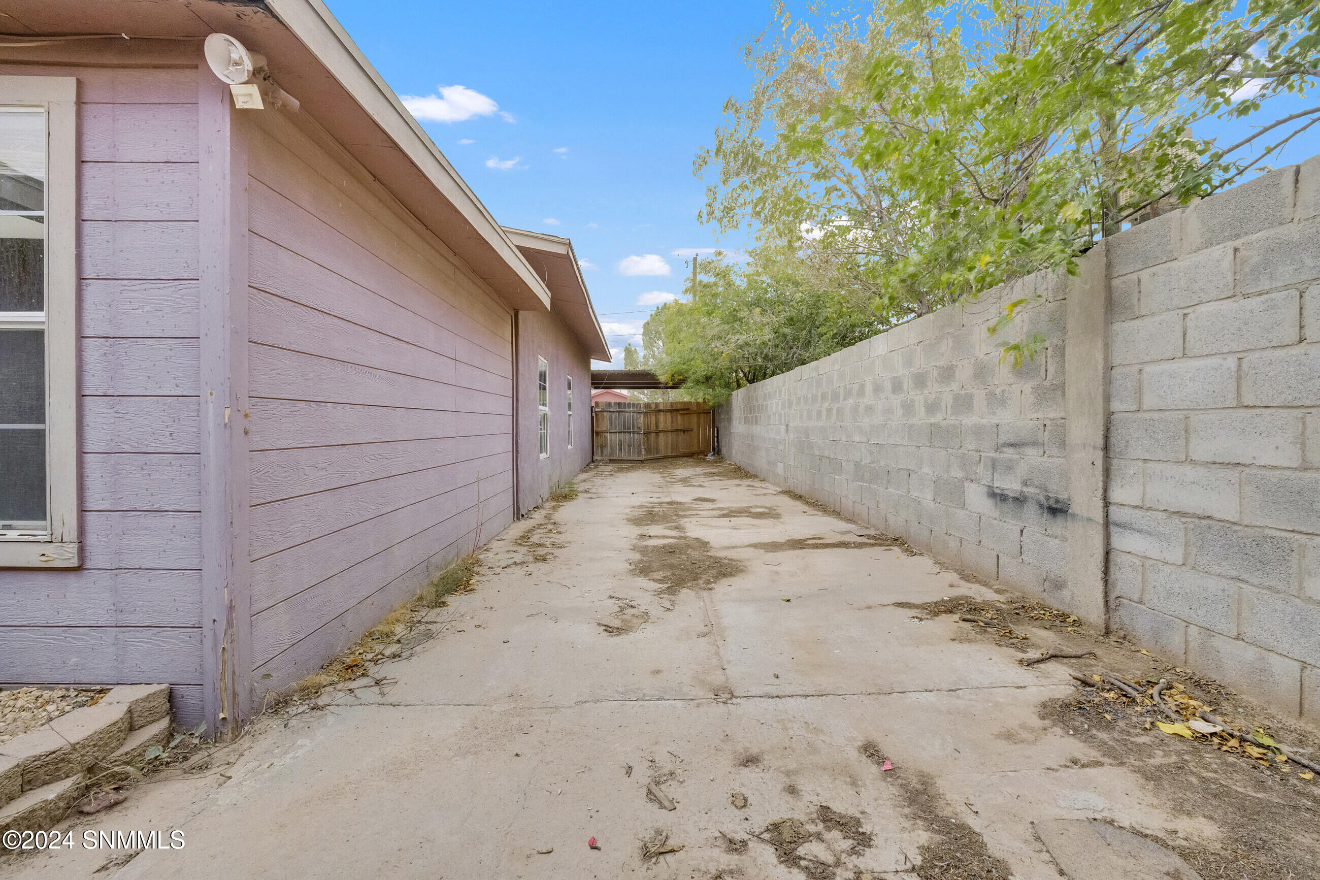 321 Carrizo Drive, Sunland Park, New Mexico image 23