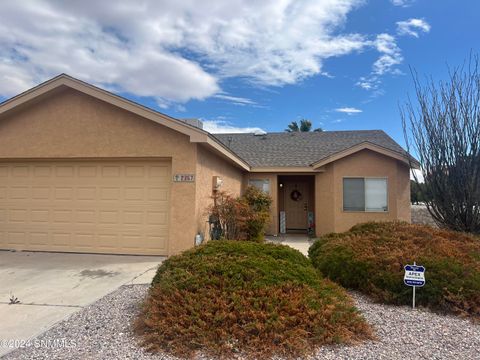 2357 Don Roser Drive, Las Cruces, NM 88011 - #: 2400806