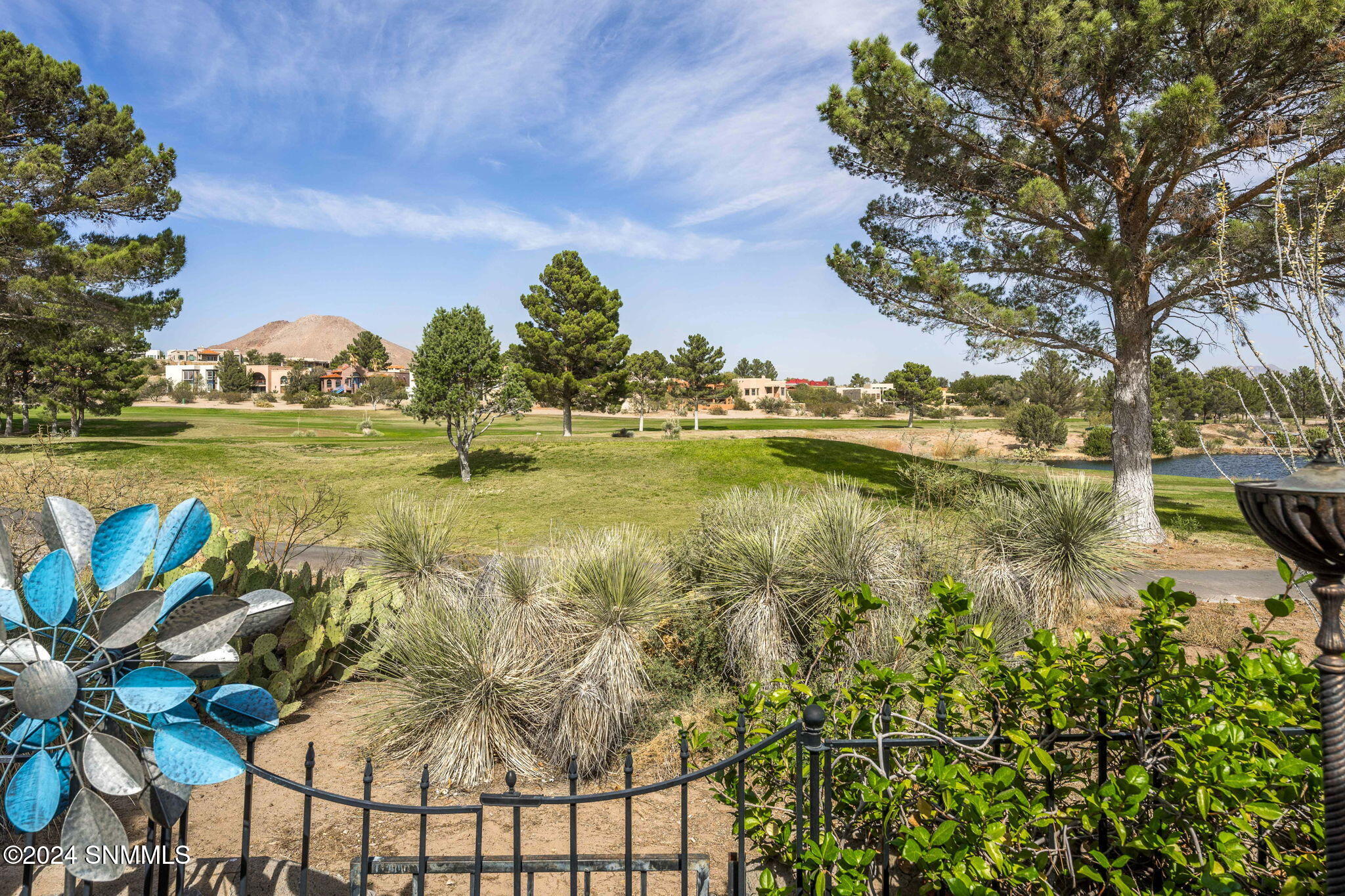 6728 Camino Blanco, Las Cruces, New Mexico image 41