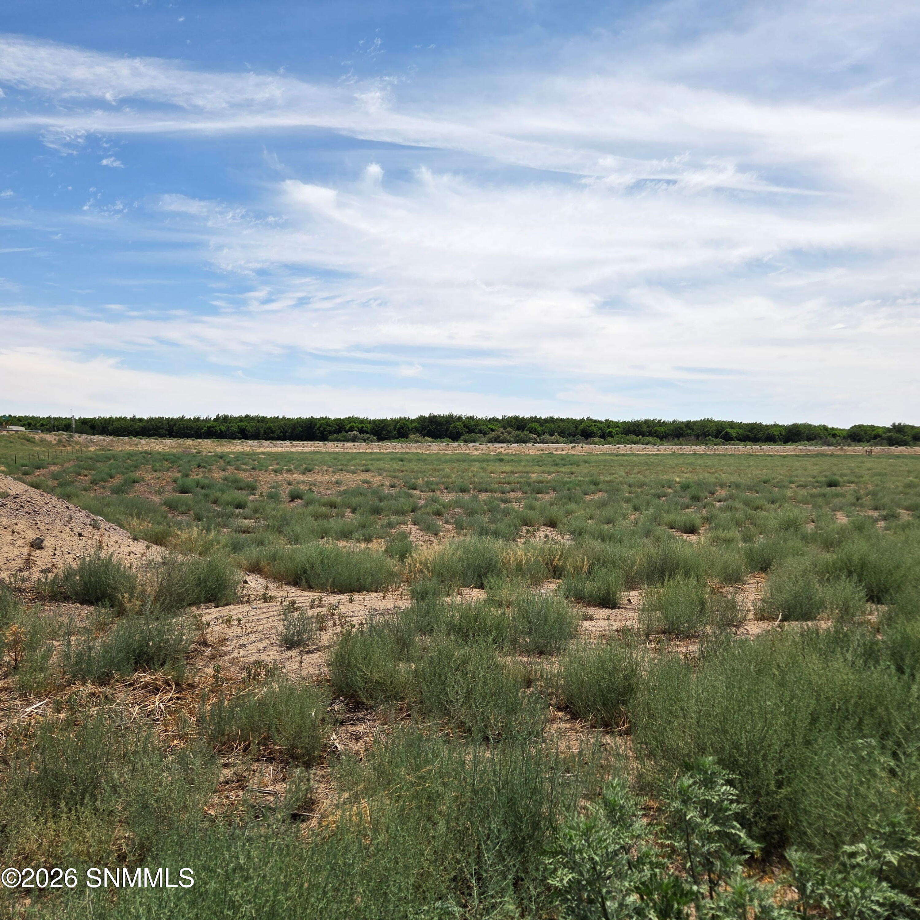 6525 Valle Del Rio Drive 2D - Photo 2