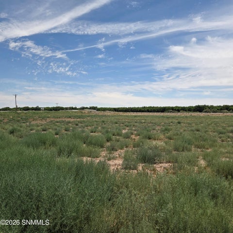 Vacant Land For Sale - 6525 Valle Del Rio Drive #2D<br/> Dona Ana County, La Mesa, NM 88044