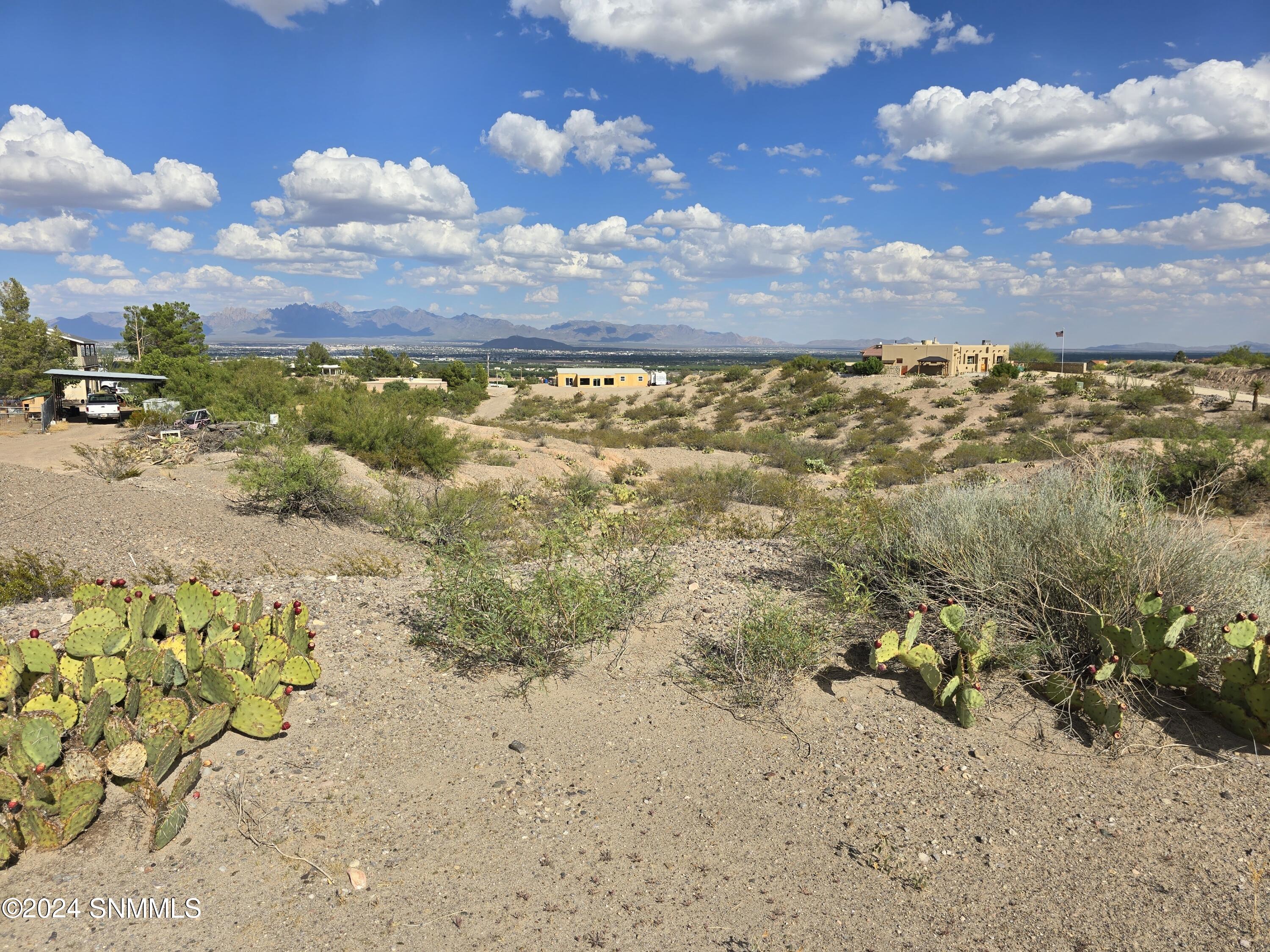 629 Lark Spur Way, Las Cruces, New Mexico image 4