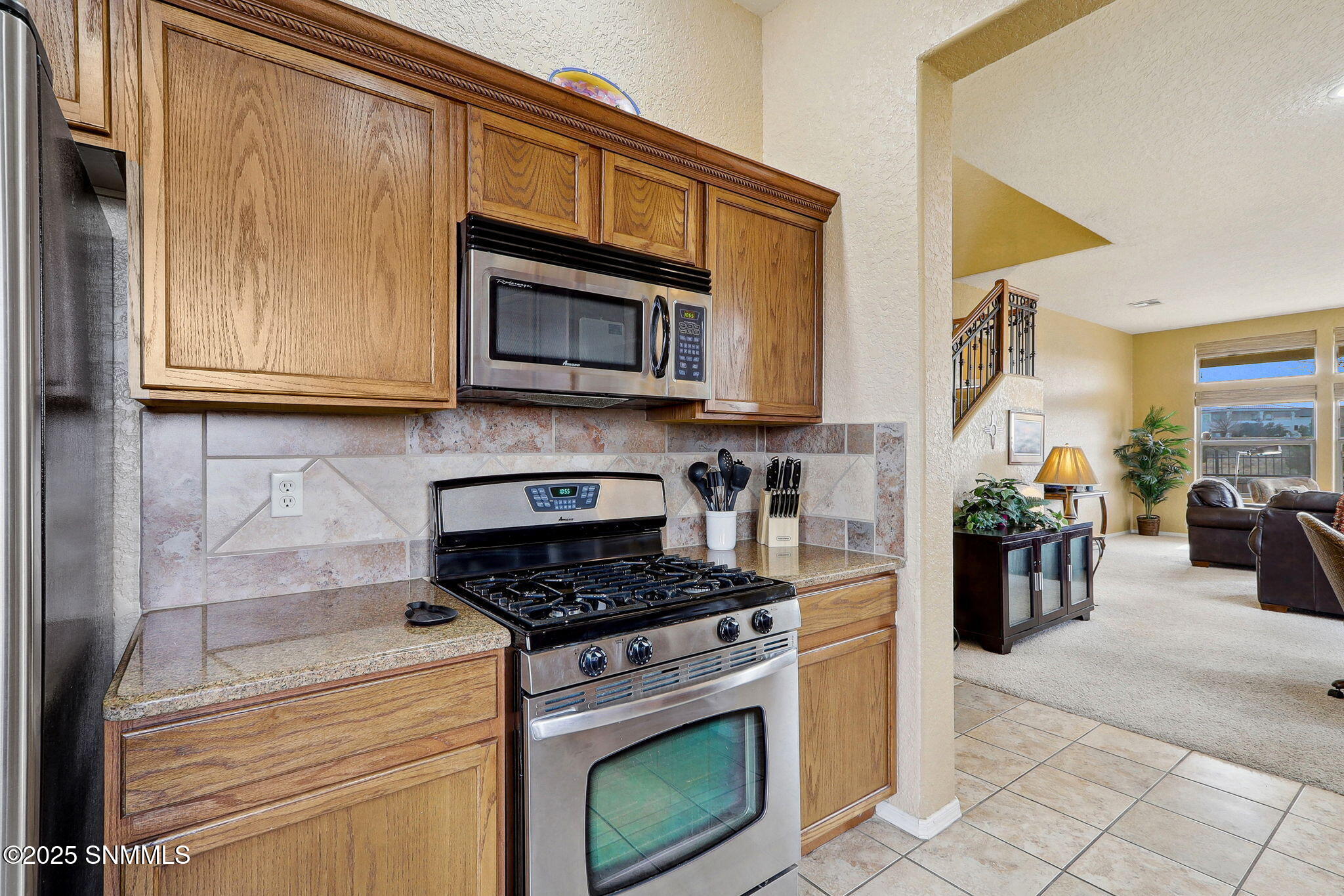 4057 Canterra Arc, Las Cruces, New Mexico image 18