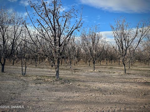 Vacant Land For Sale - TBA Gillett Road<br/> Dona Ana County, Anthony, NM 88021