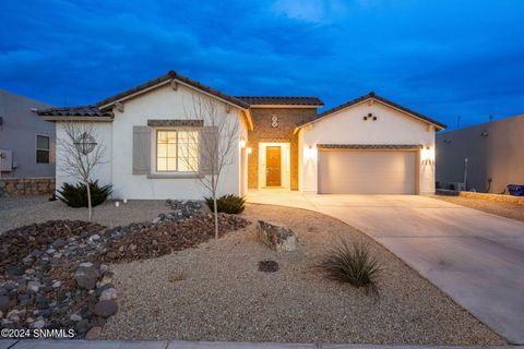 4232 Meadow Sage Place, Las Cruces, NM 88011 - #: 2400297