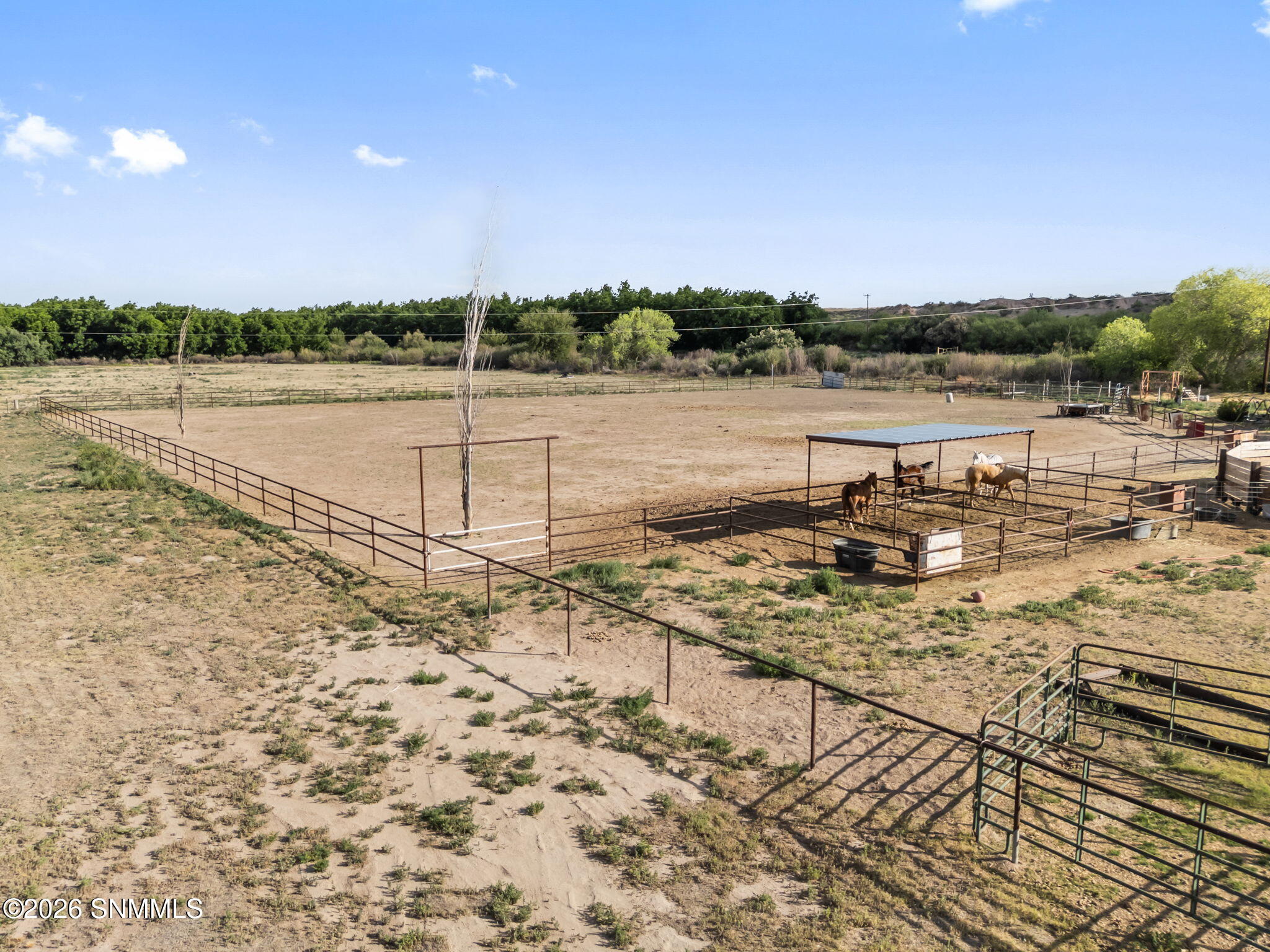 4217 County Road B-006 - Photo 4