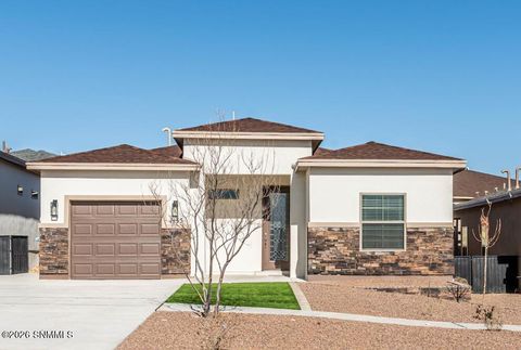 Homes For Sale - 1135 Bronze Hill Avenue<br/> Sunland Park, NM 88008