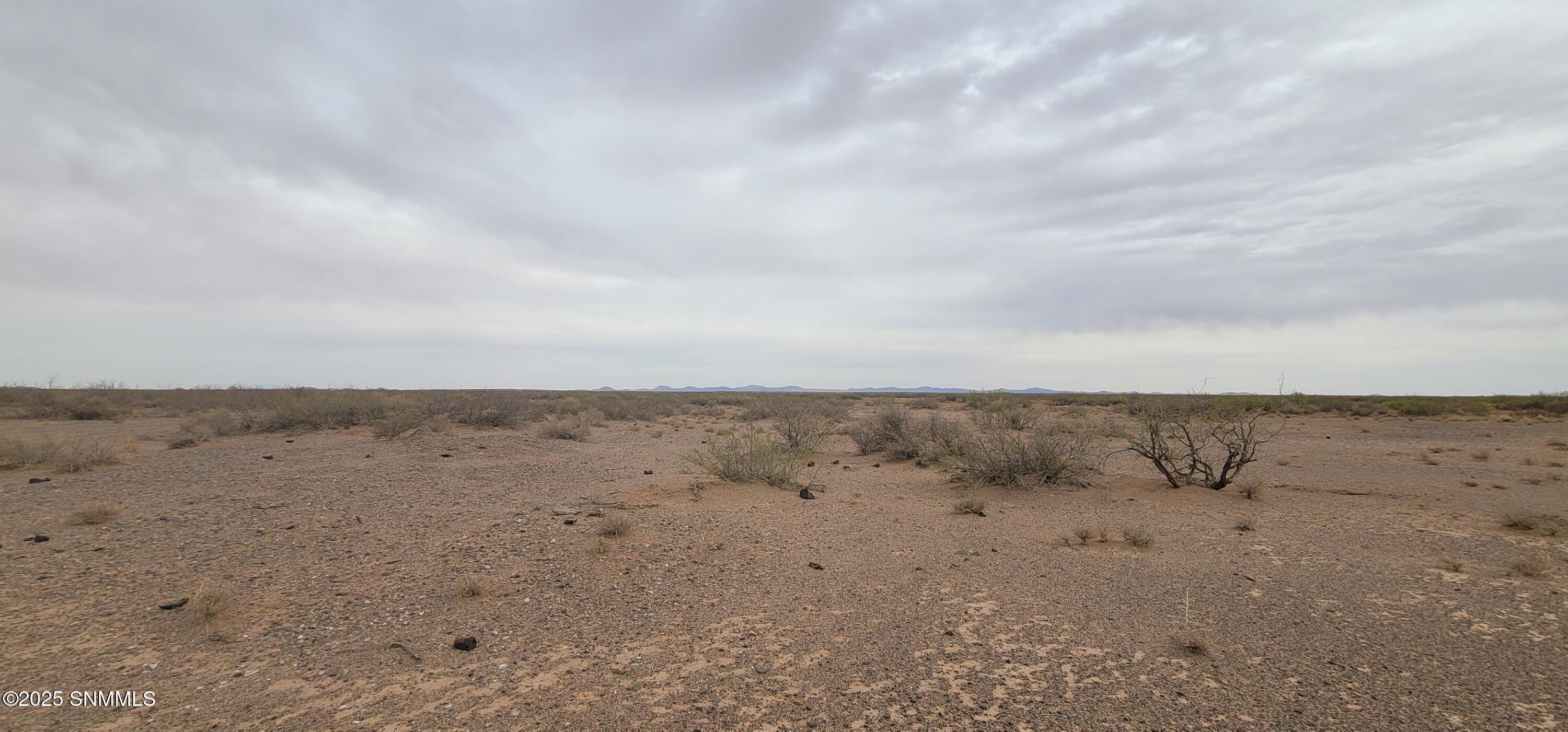 TBD SE Acoma Road, Deming, New York image 8