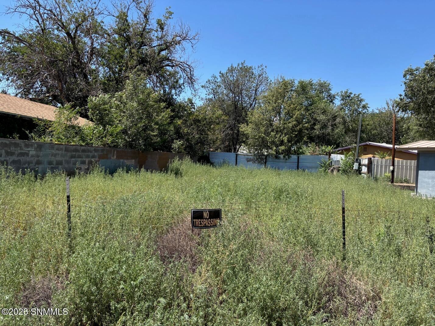 1005 N Grant Street - Photo 4