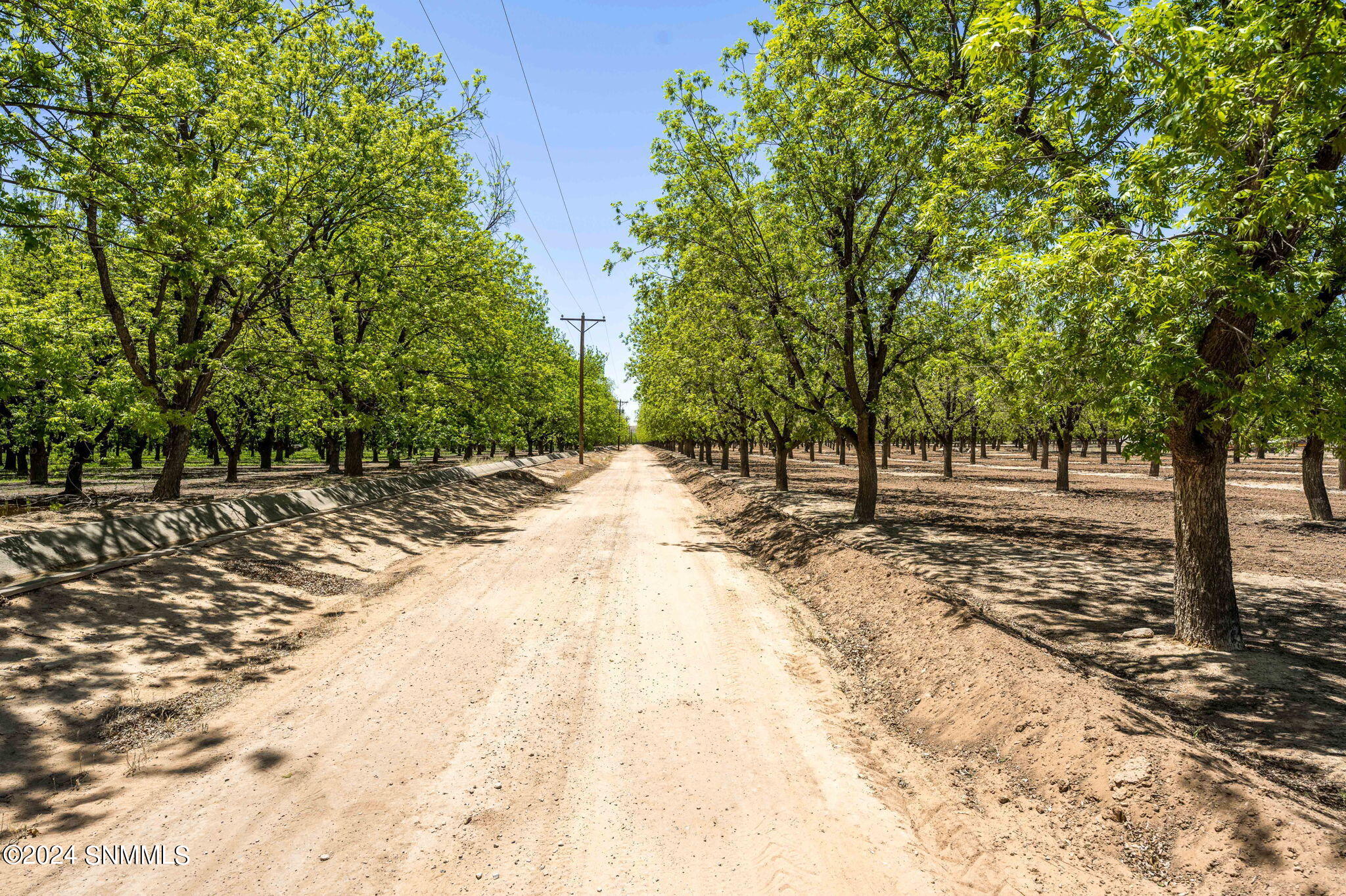 3012 Snow Road, Las Cruces, New Mexico image 10