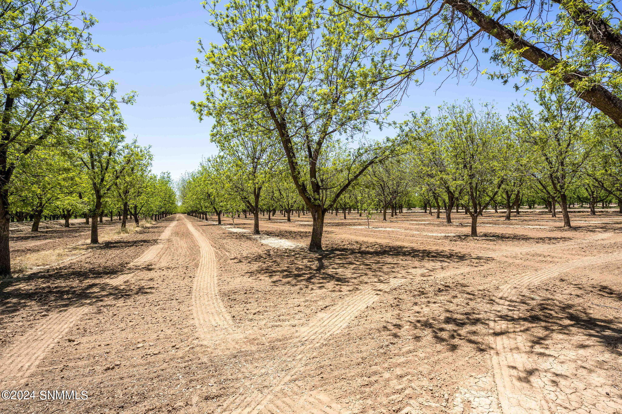 3012 Snow Road, Las Cruces, New Mexico image 13