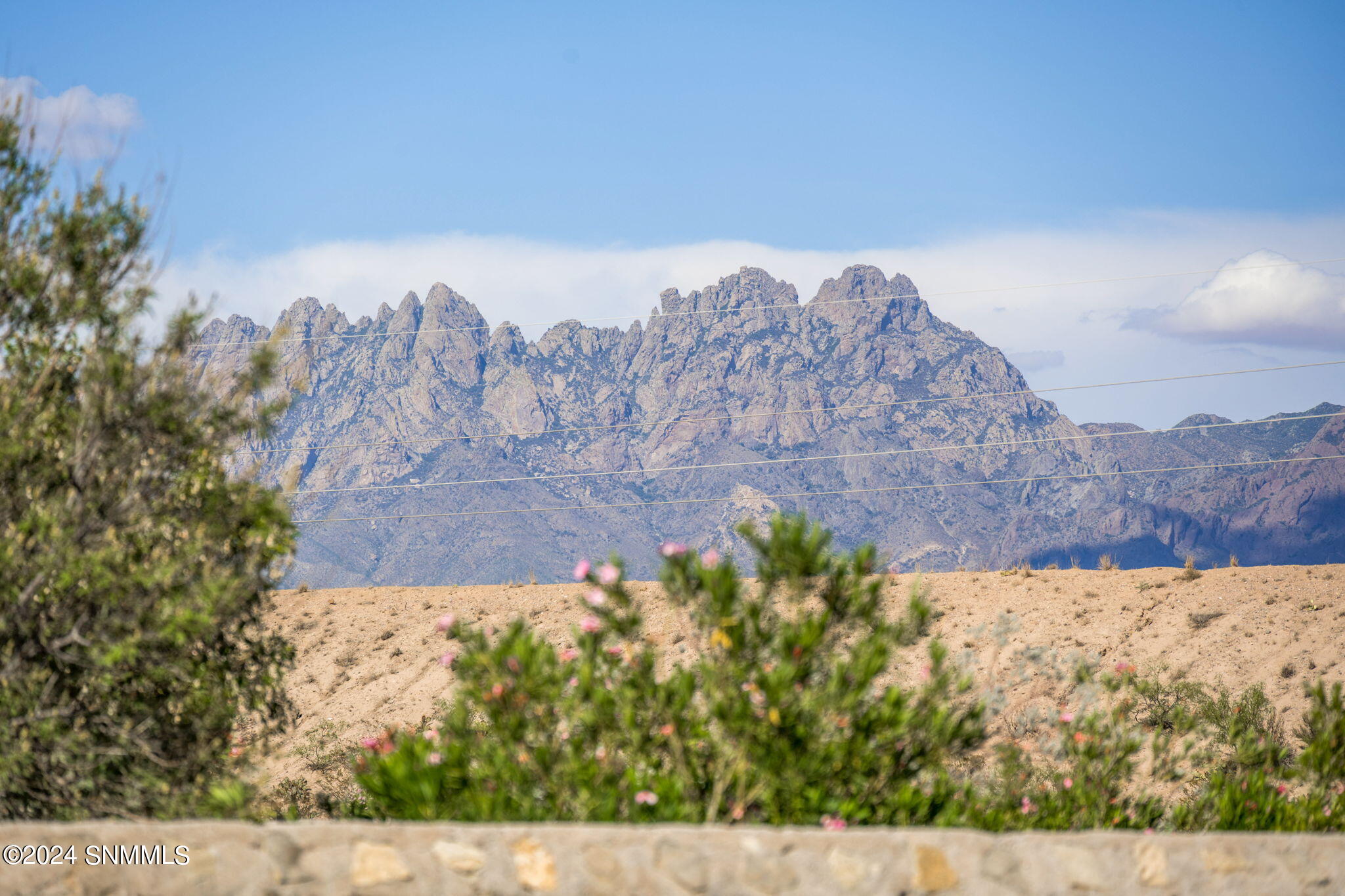 Las Cruces, New Mexico 88011, United States, 3 Bedrooms Bedrooms, ,3 BathroomsBathrooms,Residential,Pending,50717