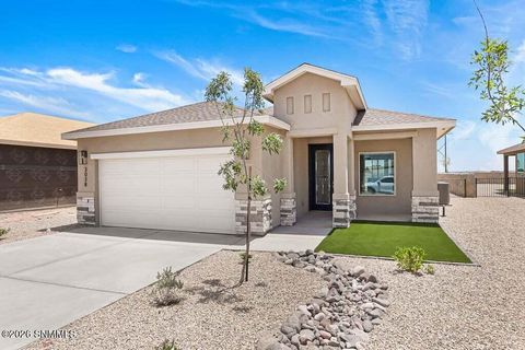 Homes For Sale - 2073 Meteor Street<br/> Las Cruces, NM 88012