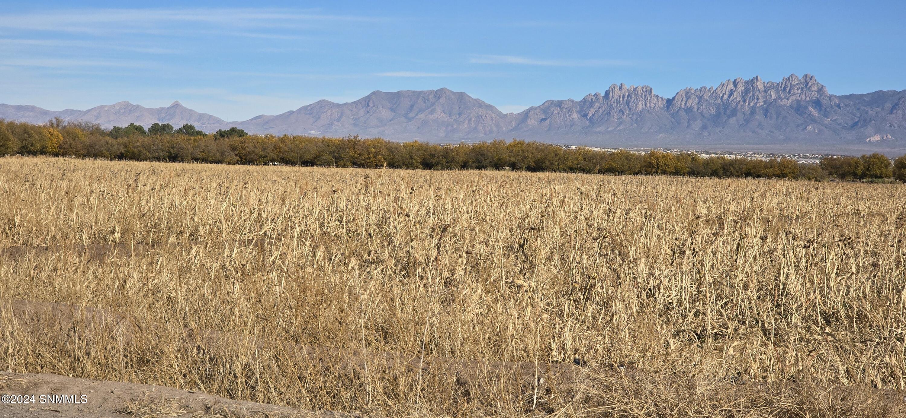 3550 Coral Road Rd #1, Las Cruces, New Mexico image 2