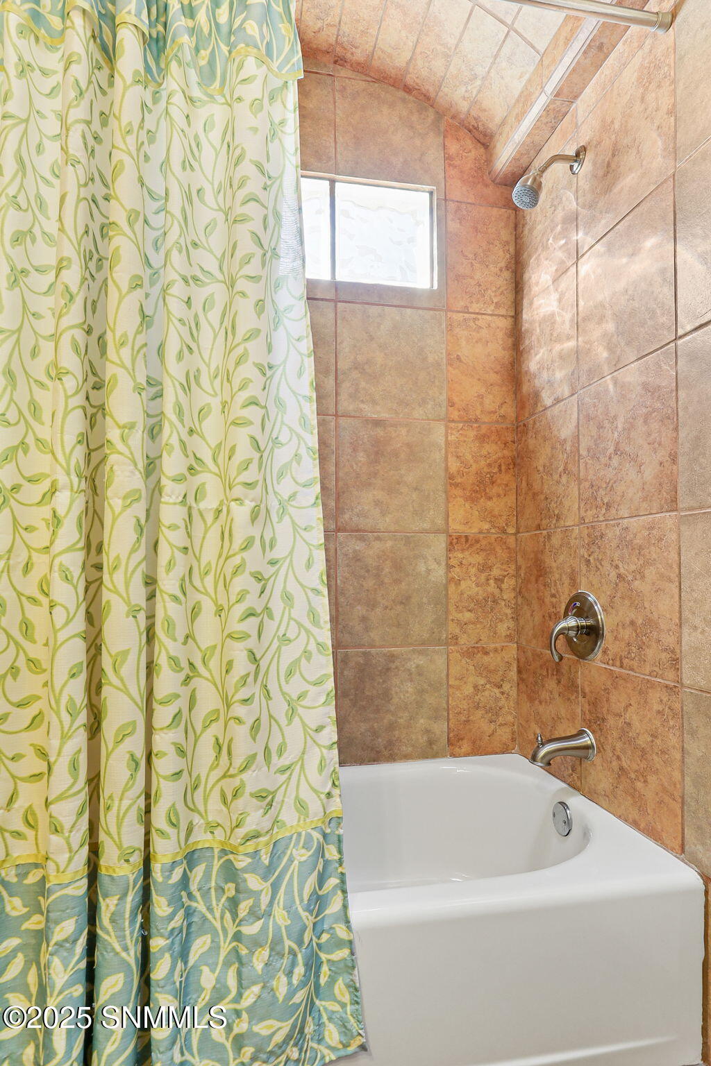 1932 Santa Ines Street, Las Cruces, New Mexico image 46