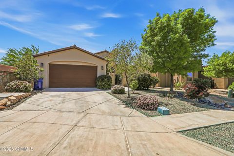 Homes For Sale - 3702 San Clemente Avenue<br/> Las Cruces, NM 88012