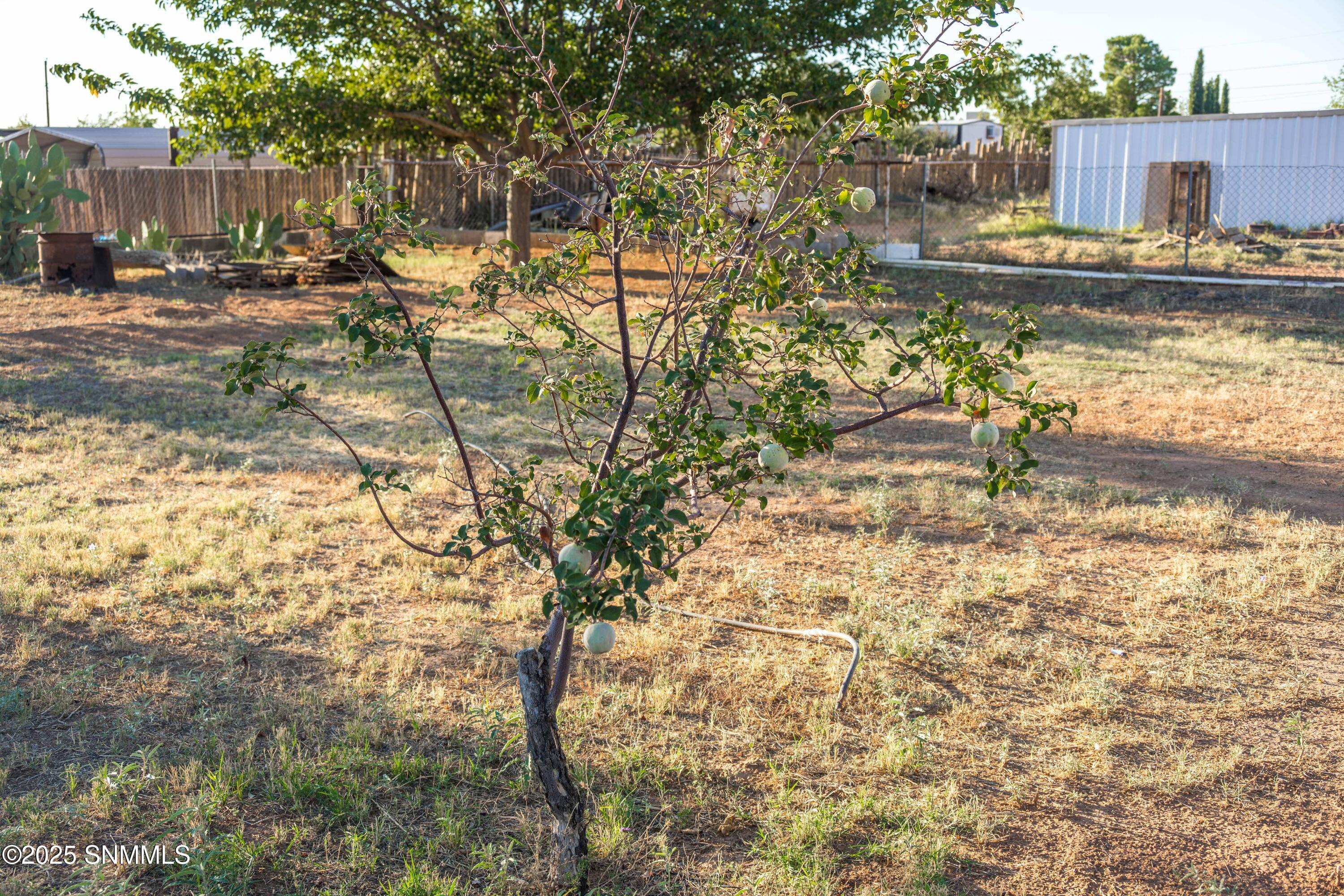 4855 Porter Drive, Las Cruces, New Mexico image 29