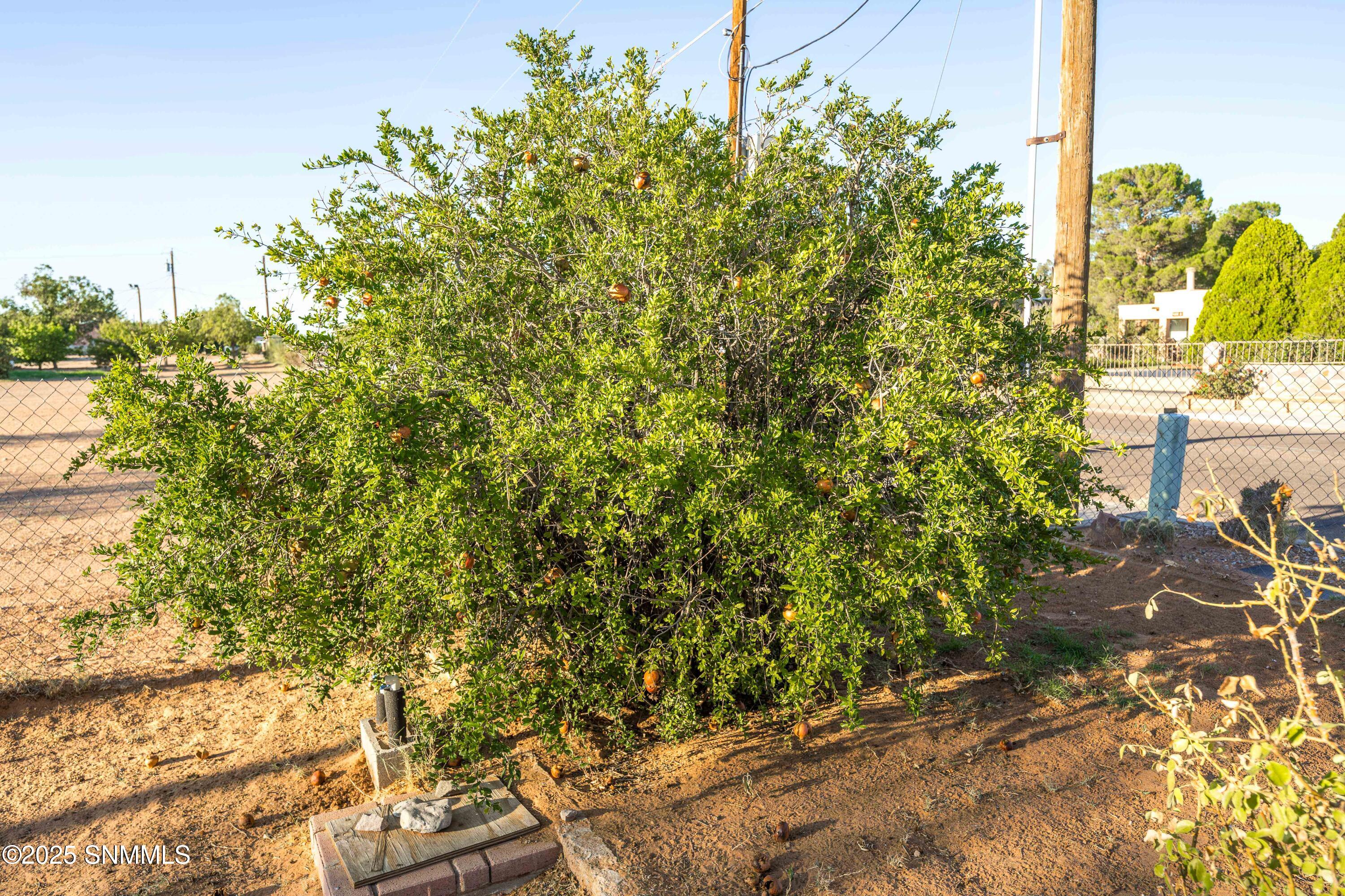 4855 Porter Drive, Las Cruces, New Mexico image 31