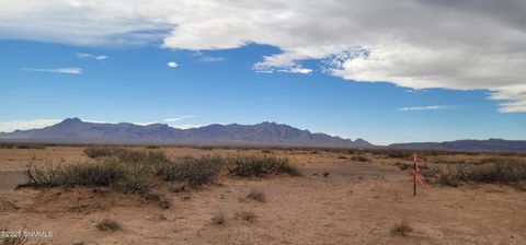 Vacant Land For Sale - TBD SE Acoma Road<br/> Luna County, Deming, NM 88030