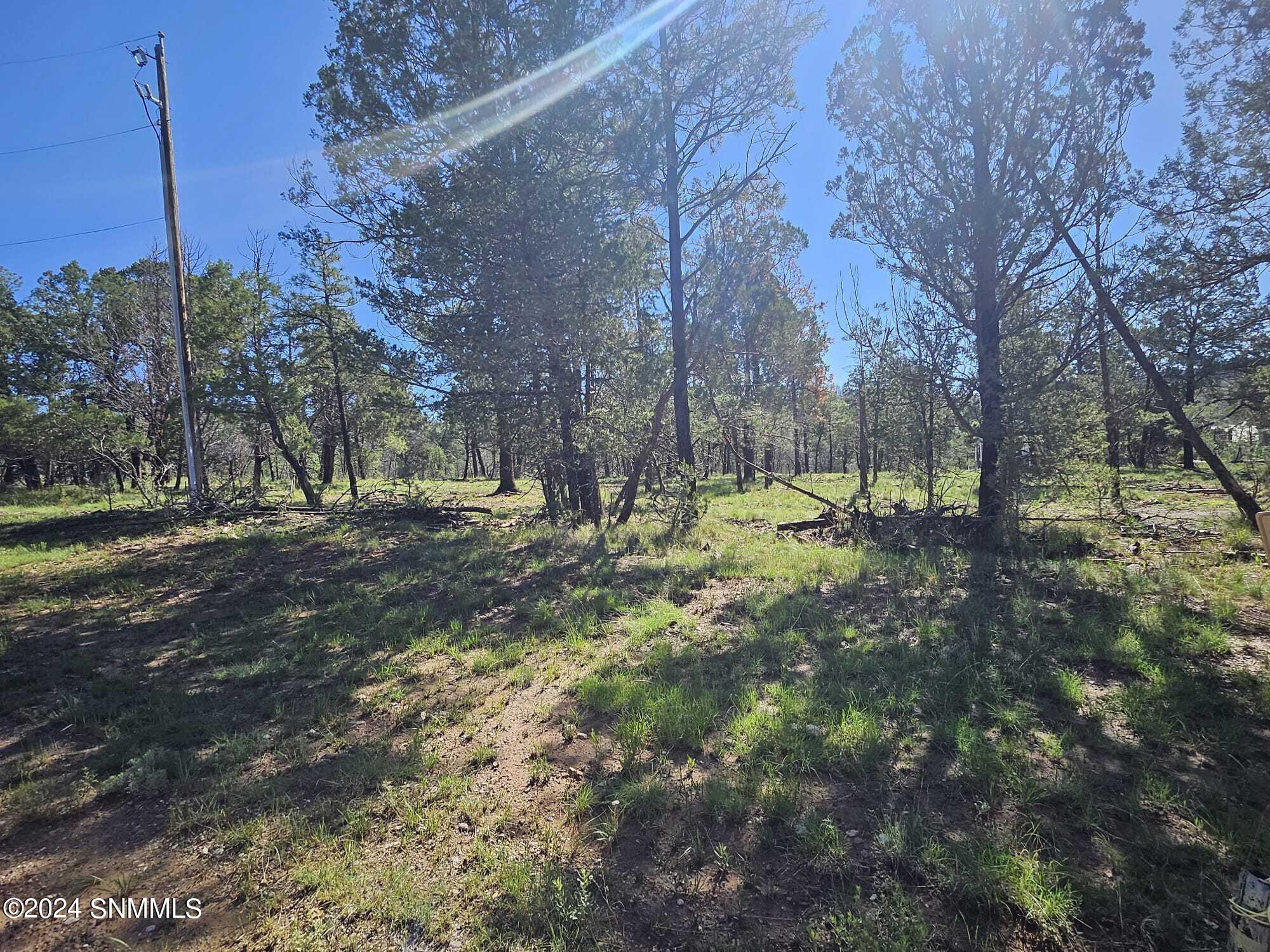 TBD Homestead Heights Block 5 Drive #5A, Ruidoso, New Mexico image 14