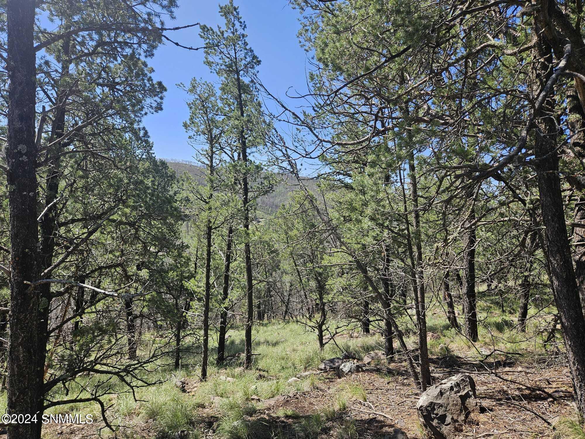 TBD Homestead Heights Block 5 Drive #5A, Ruidoso, New Mexico image 18