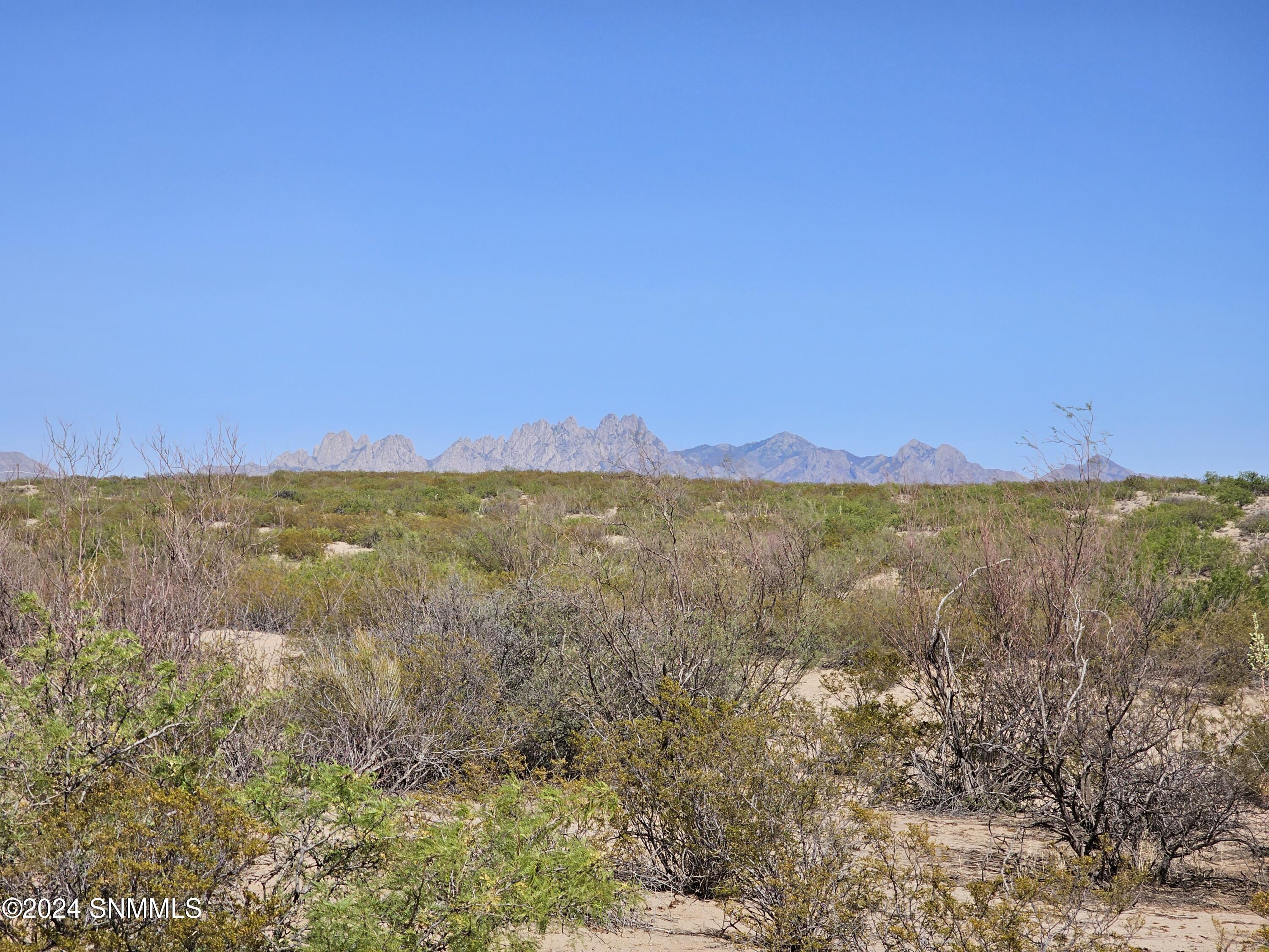 26 Tucson Avenue, Las Cruces, New Mexico image 5